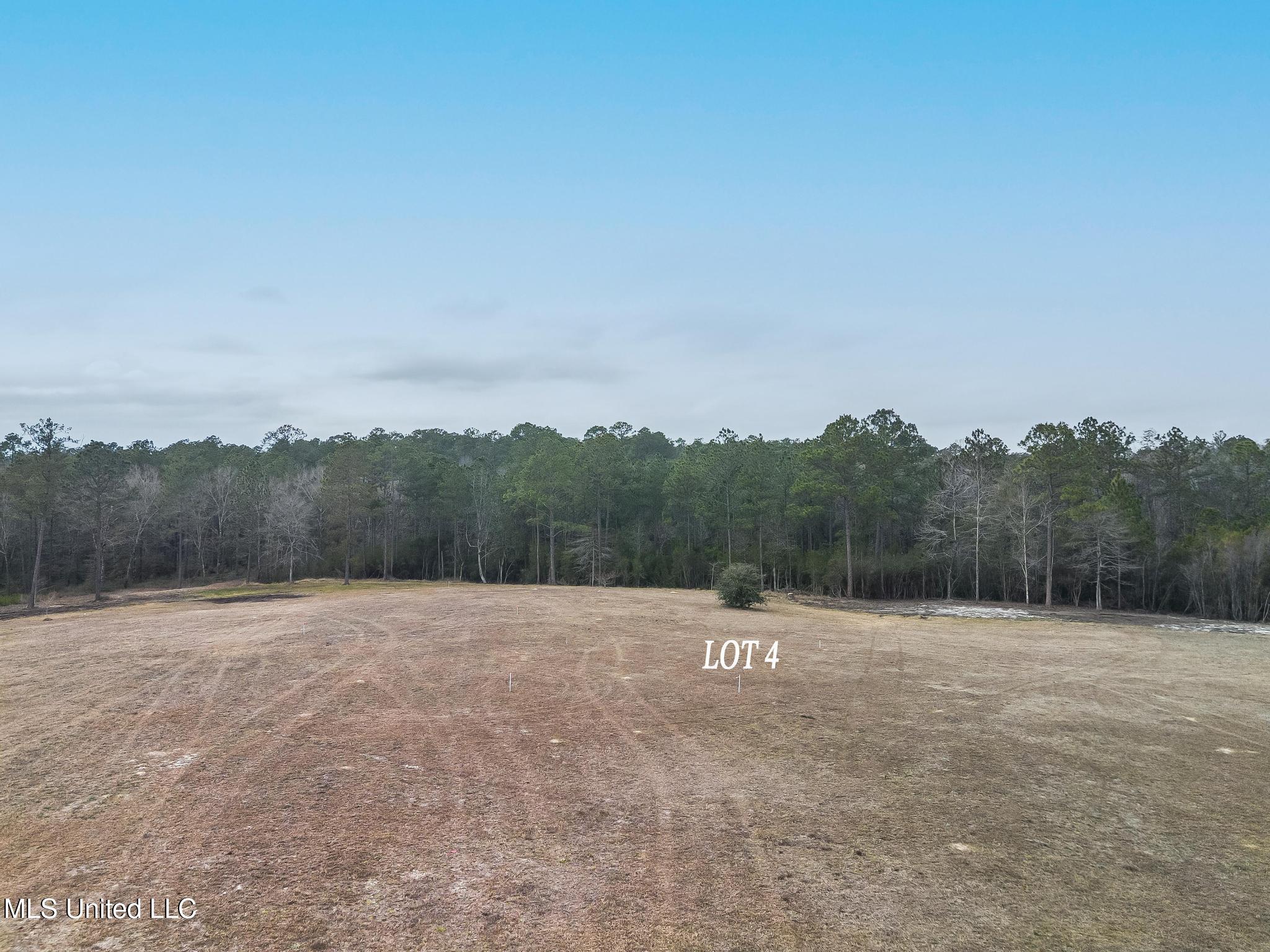 Lot 4 Kahler Lane Property Photo 1