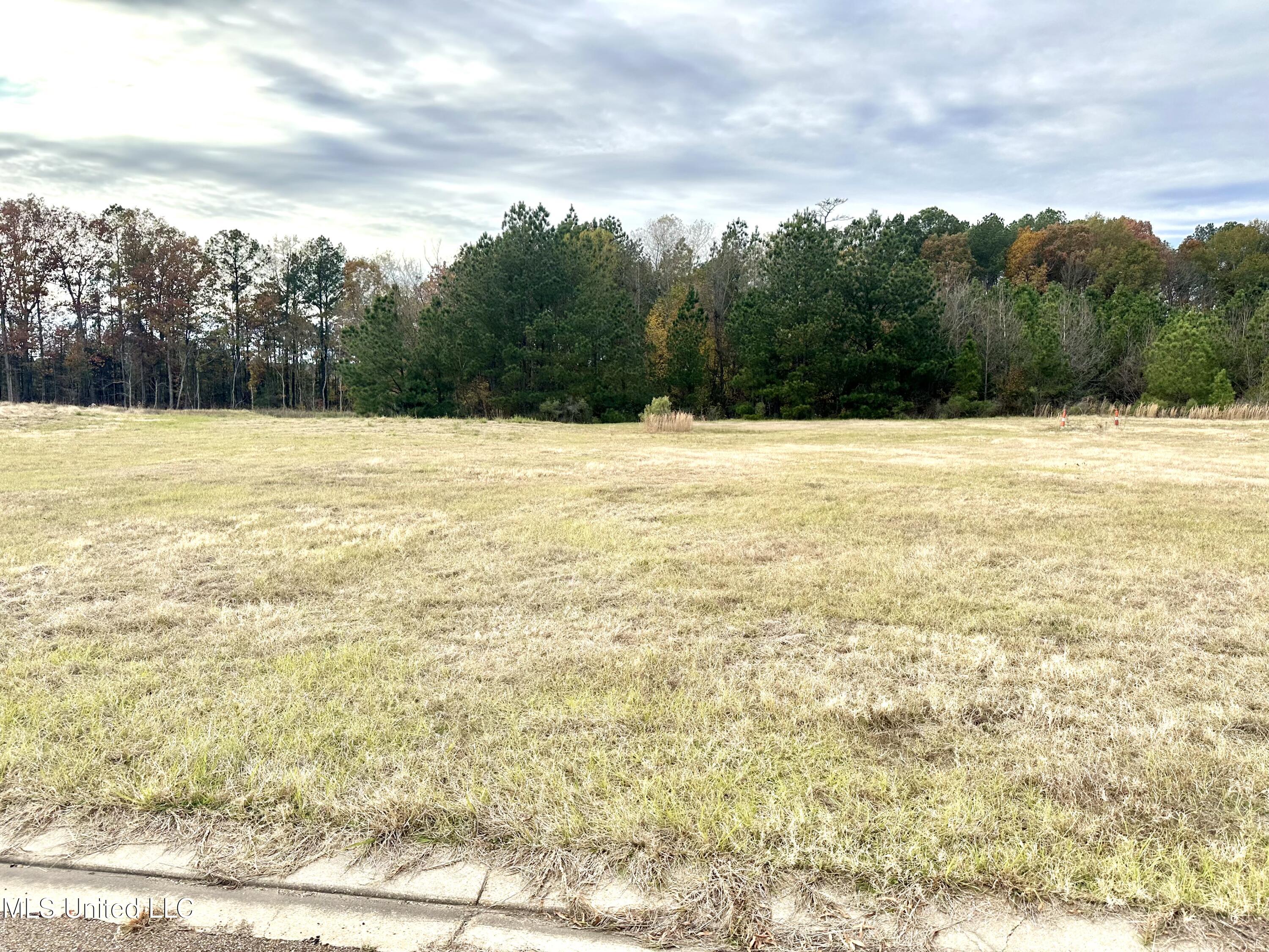 O Executive Drive Property Photo 2
