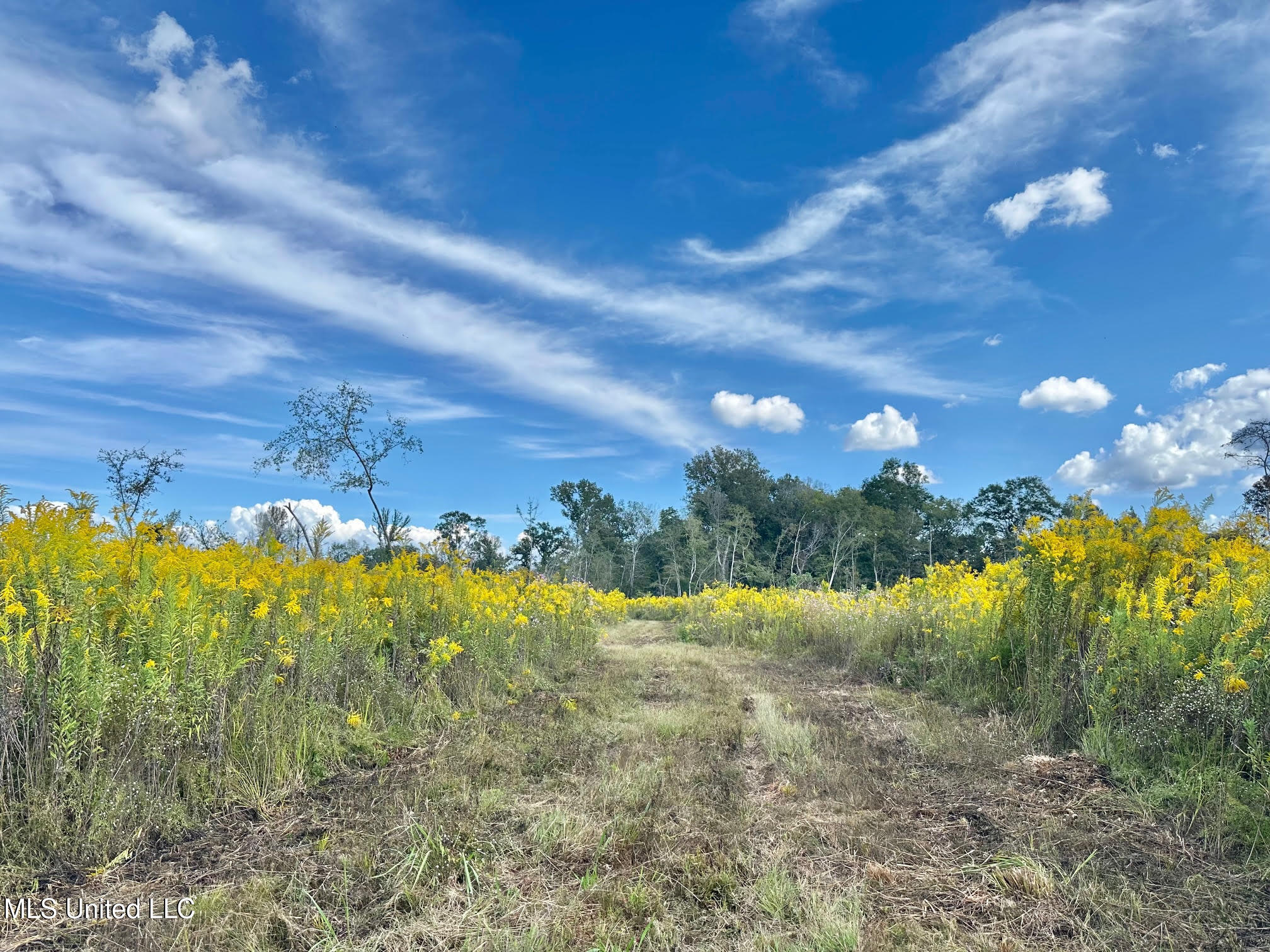 5 Highway 35 Property Photo 14