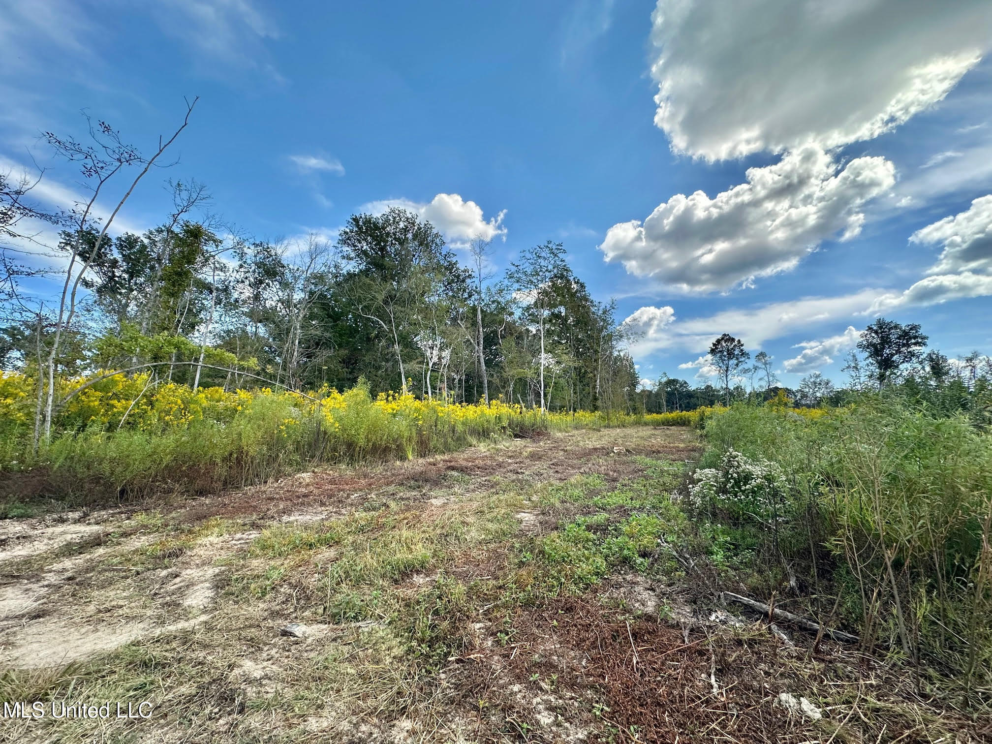 5 Highway 35 Property Photo 16