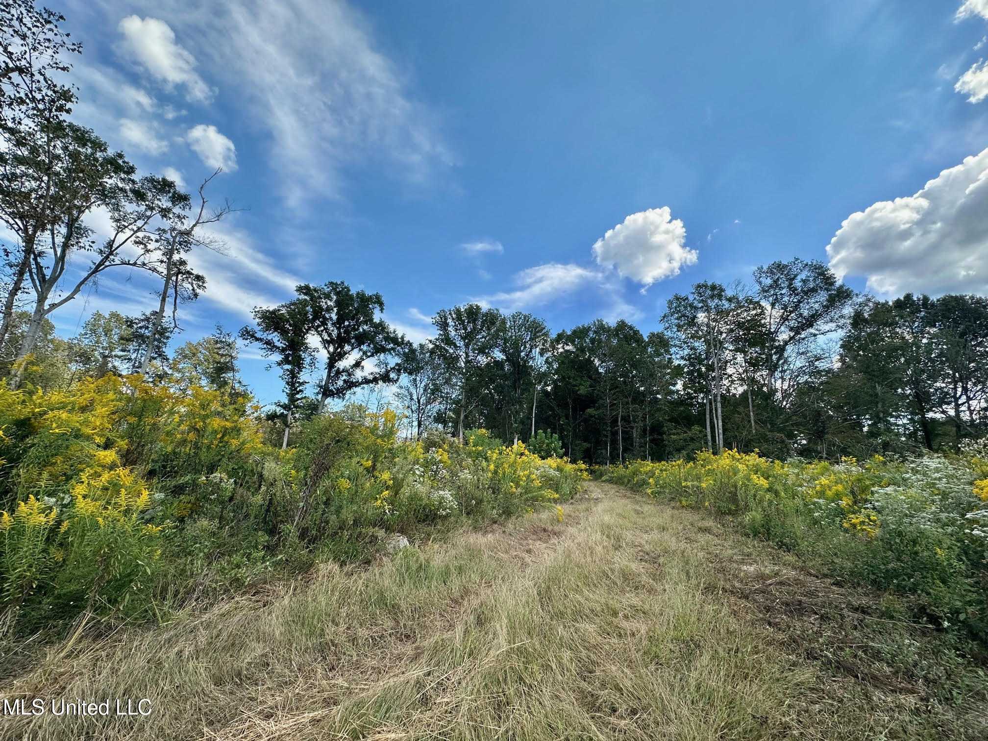 5 Highway 35 Property Photo 17