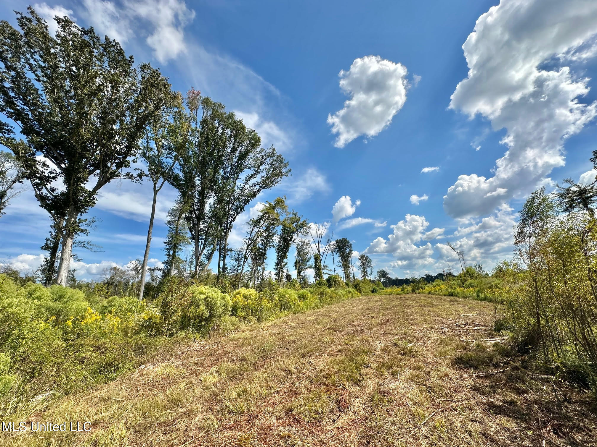 5 Highway 35 Property Photo 20