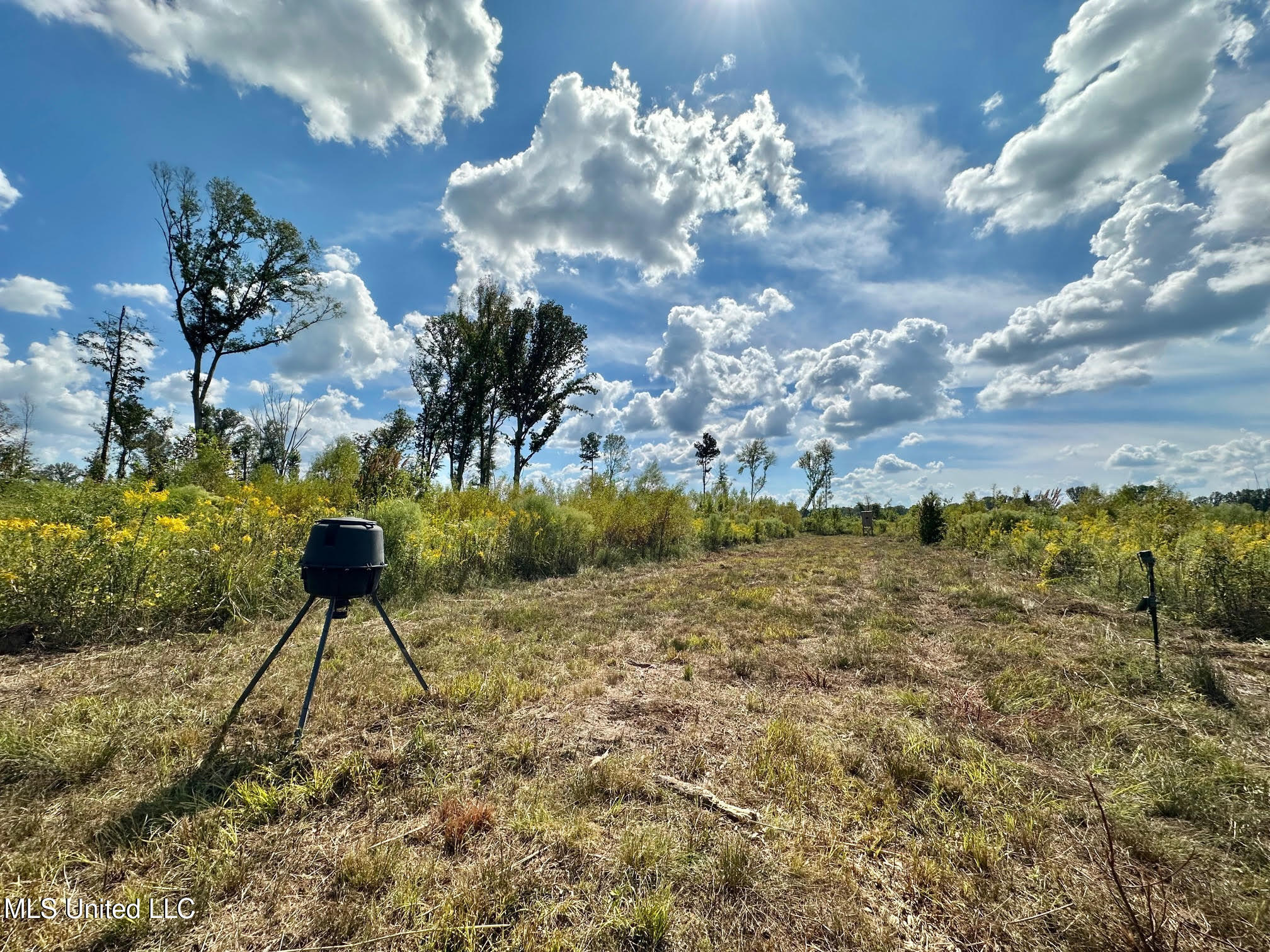 5 Highway 35 Property Photo 21