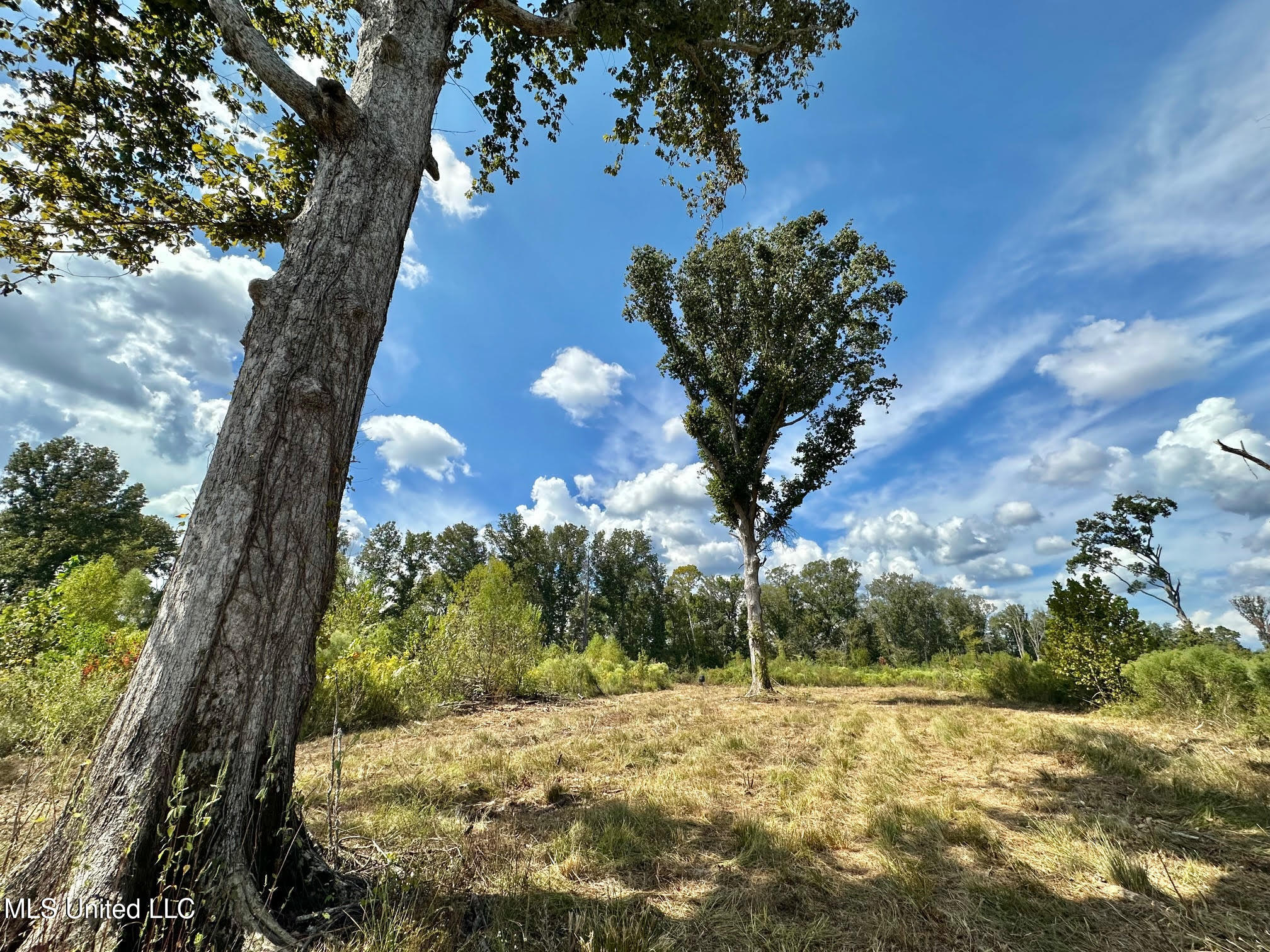 5 Highway 35 Property Photo 24