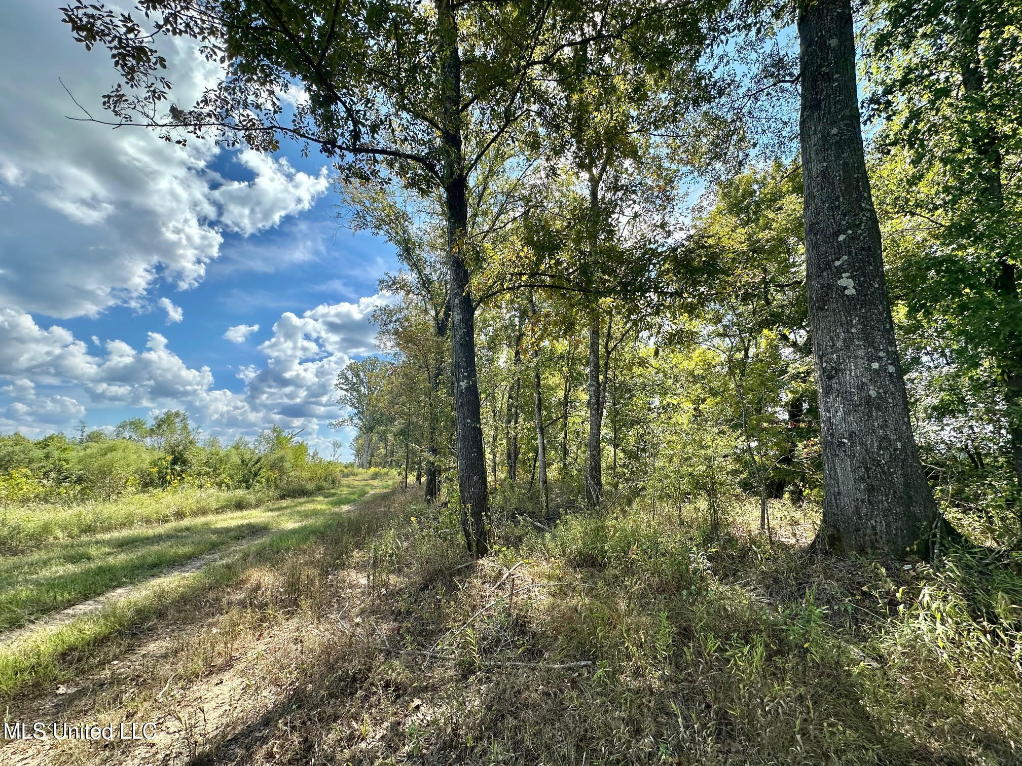 5 Highway 35 Property Photo 27