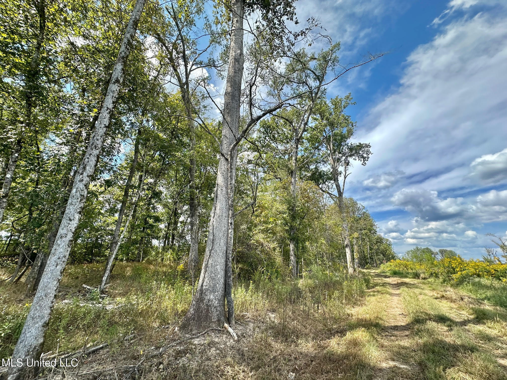 5 Highway 35 Property Photo 28