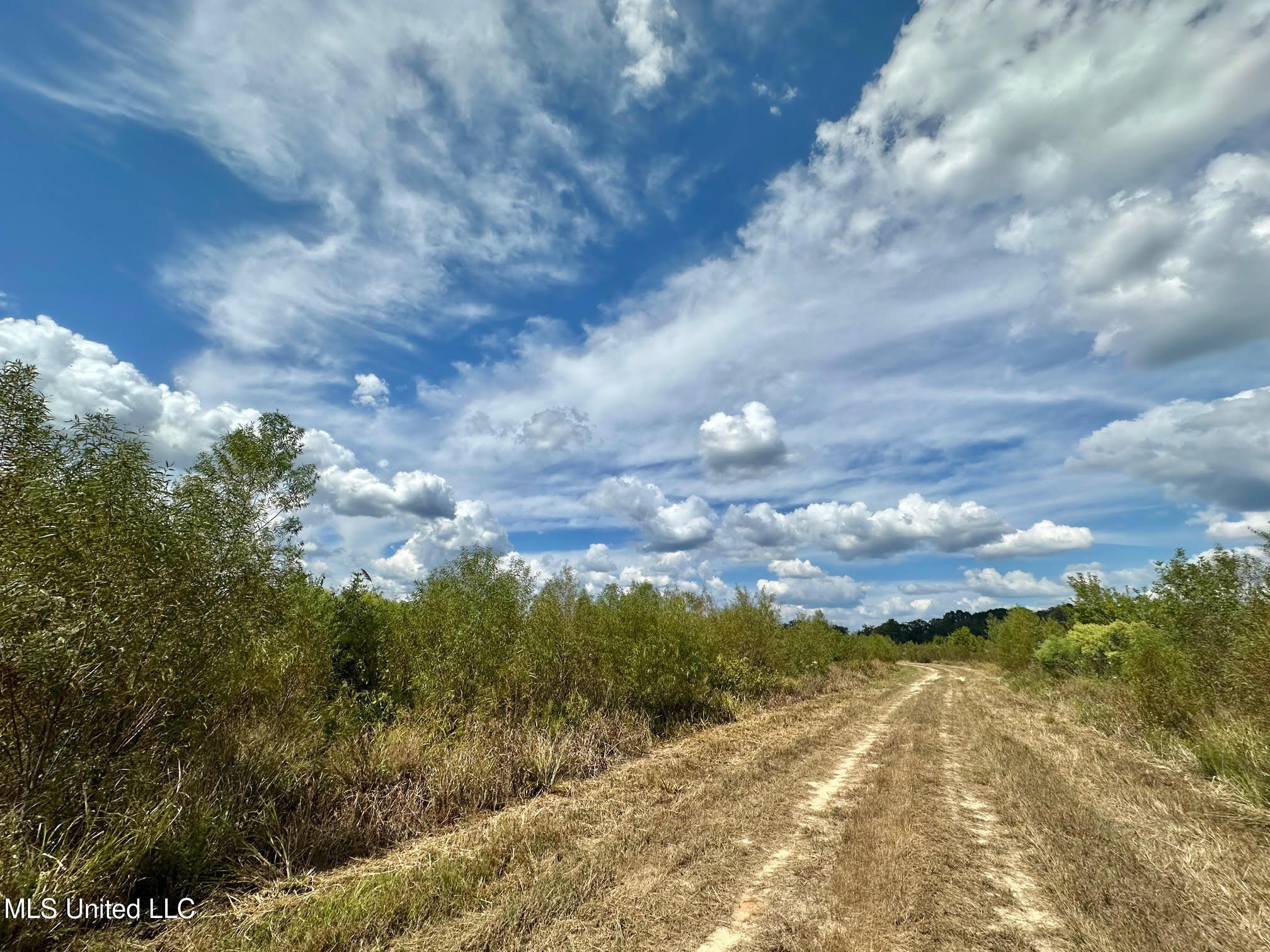 5 Highway 35 Property Photo 29