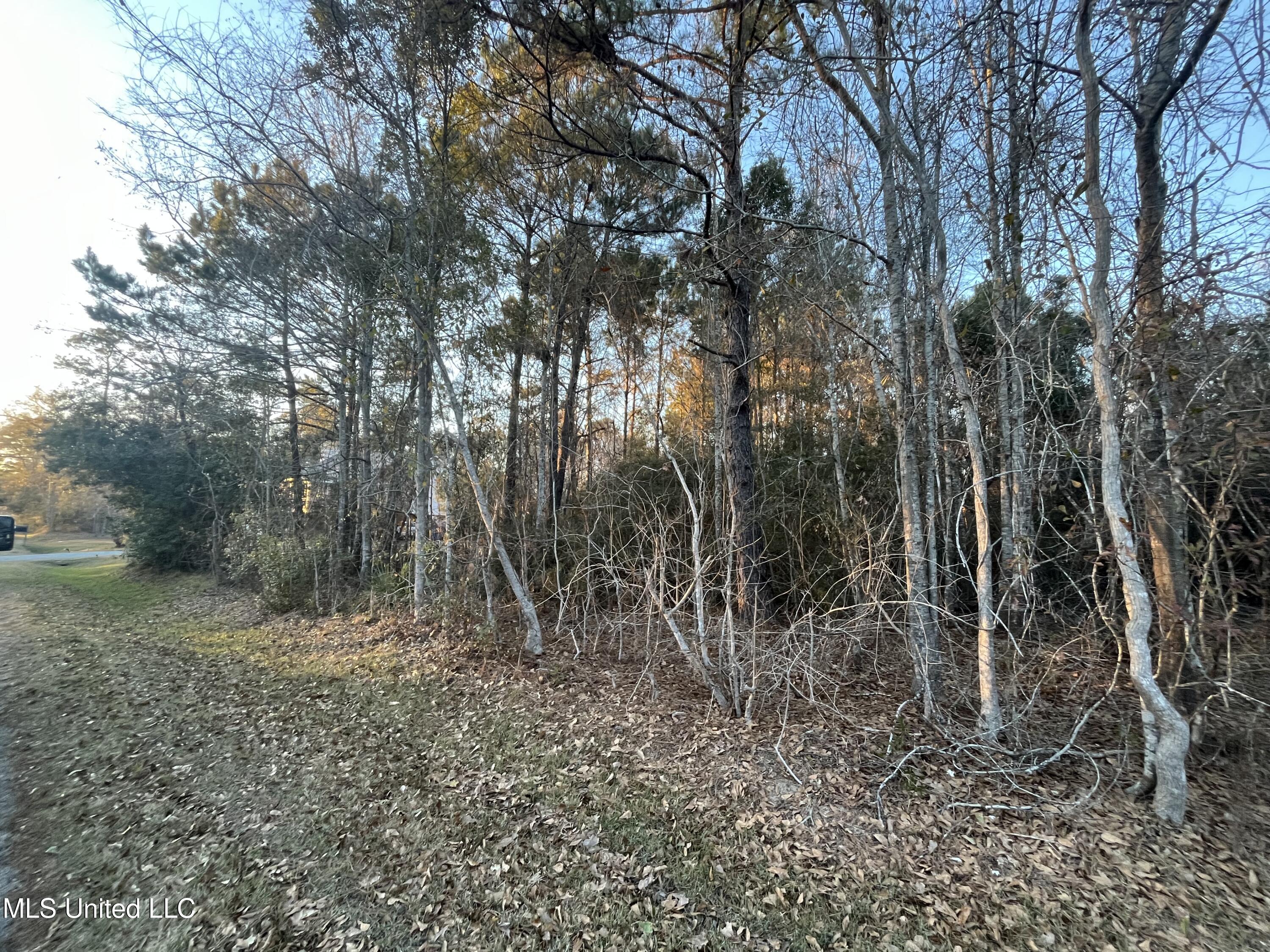 Lots 9-11 Pecan Ridge Drive Property Photo 3