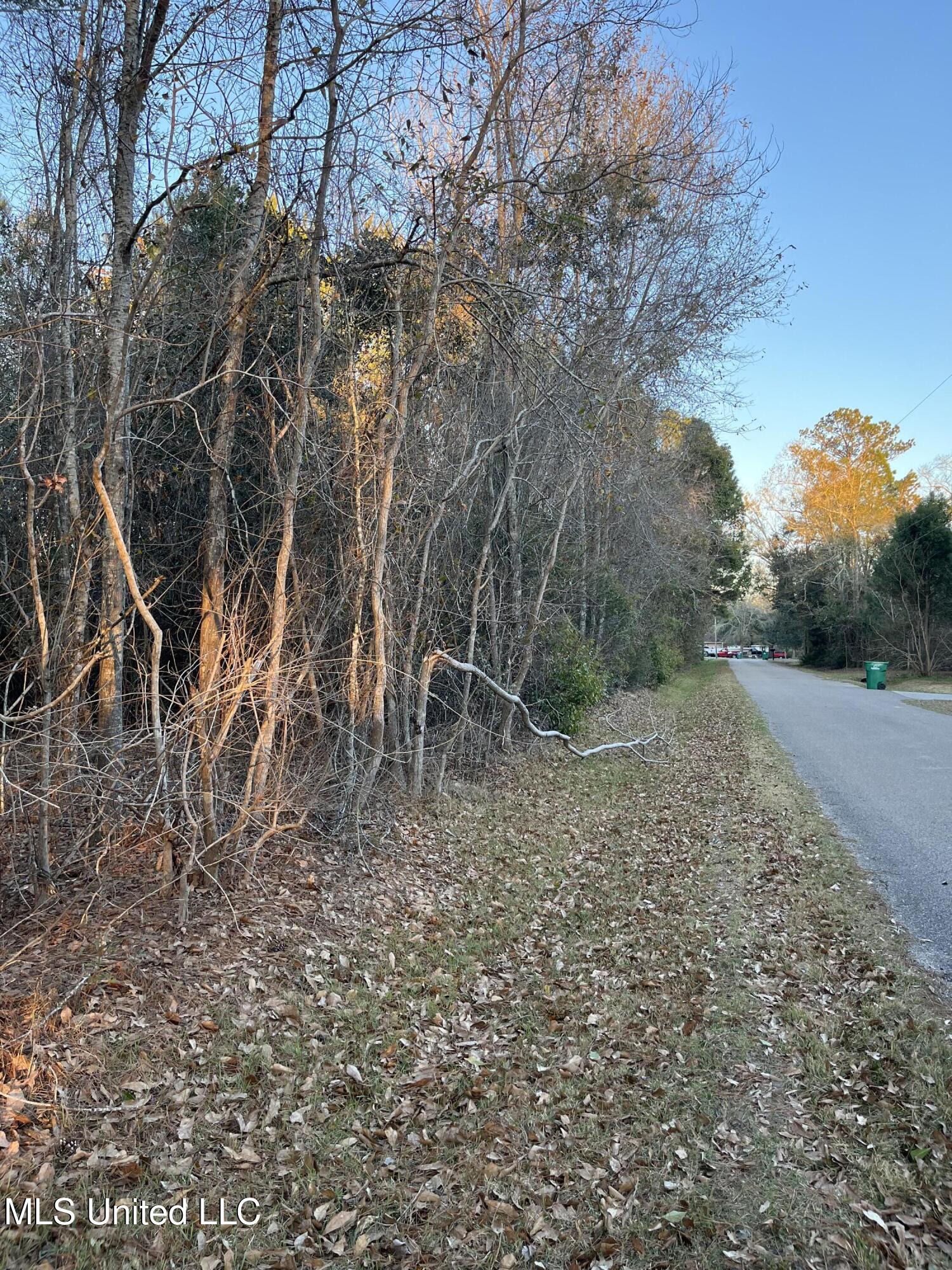 Lots 9-11 Pecan Ridge Drive Property Photo 7