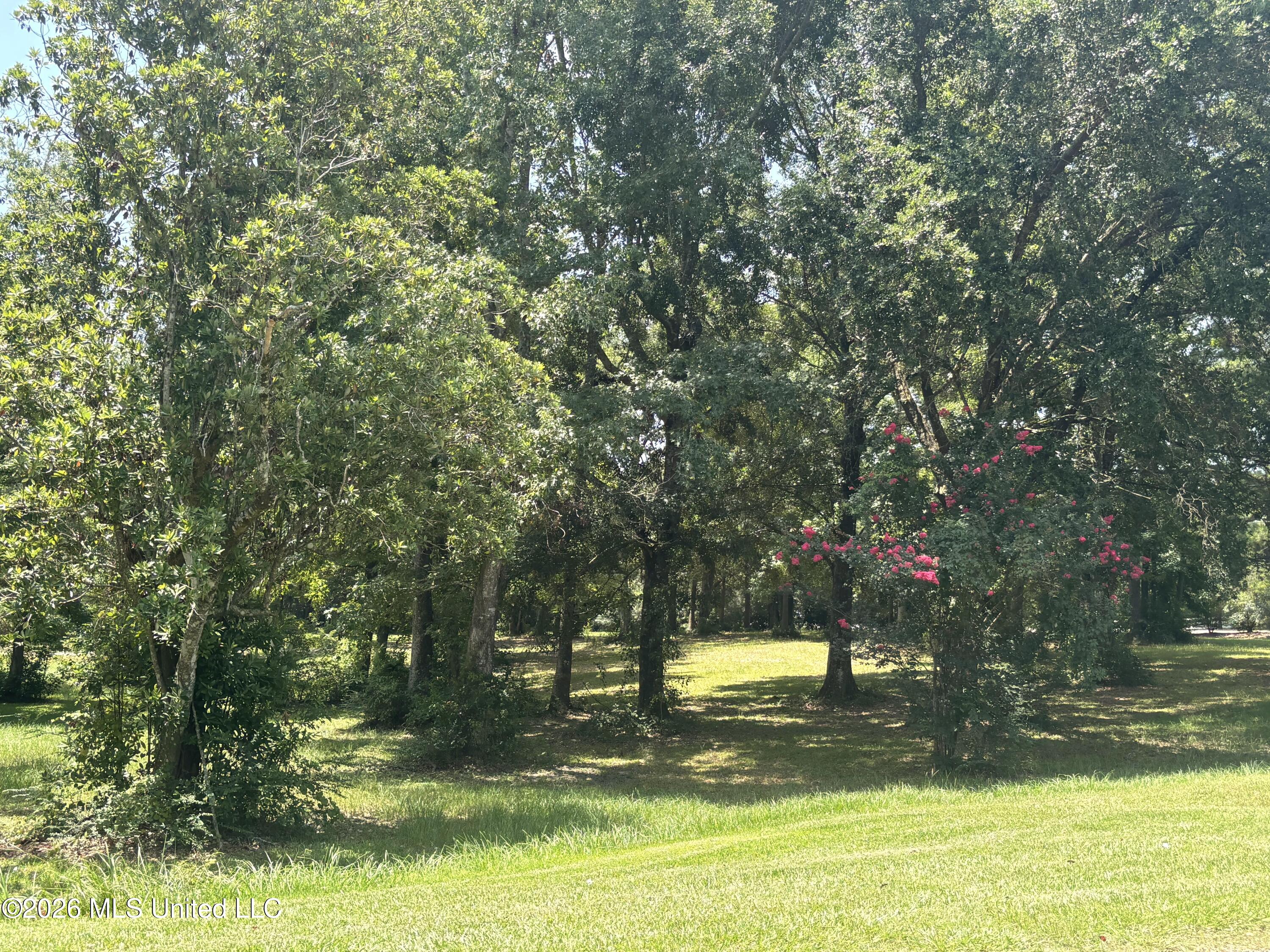 0 Stablewood Drive Property Photo 4
