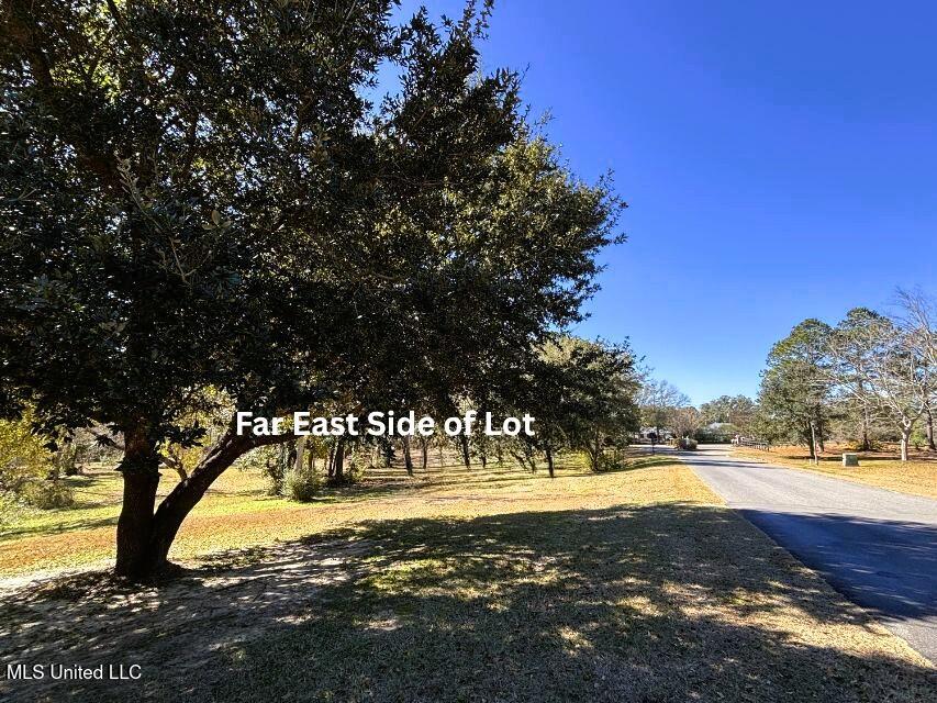 0 Stablewood Drive Property Photo 6