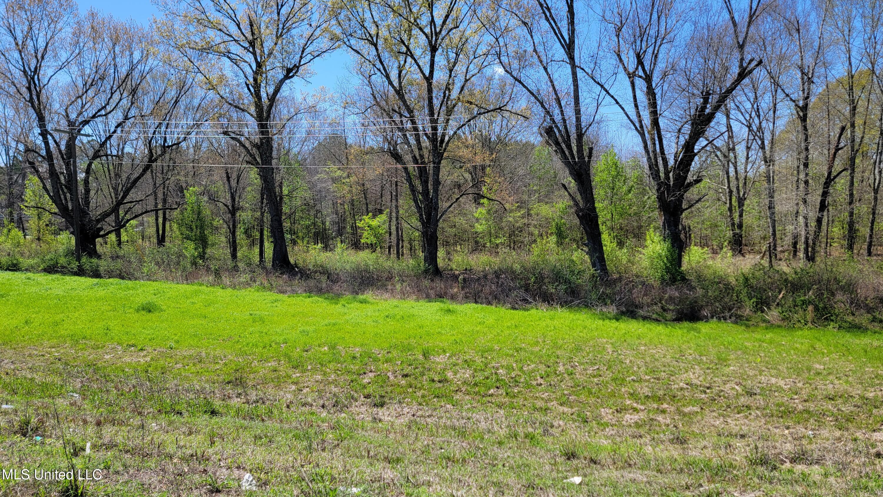 112 Cloverleaf Drive Property Photo 2