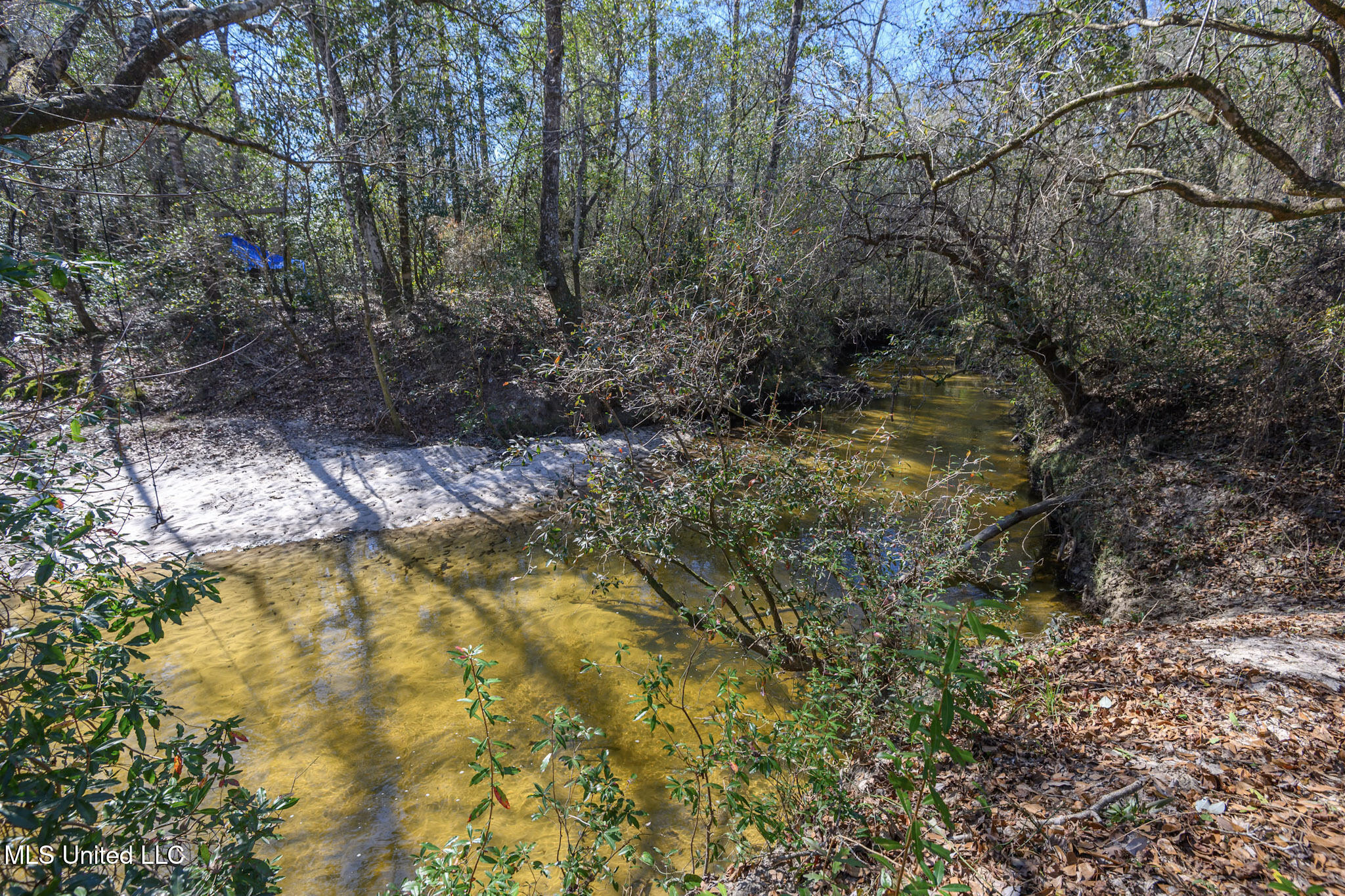 5295 Agricola Latonia Road Property Photo 11