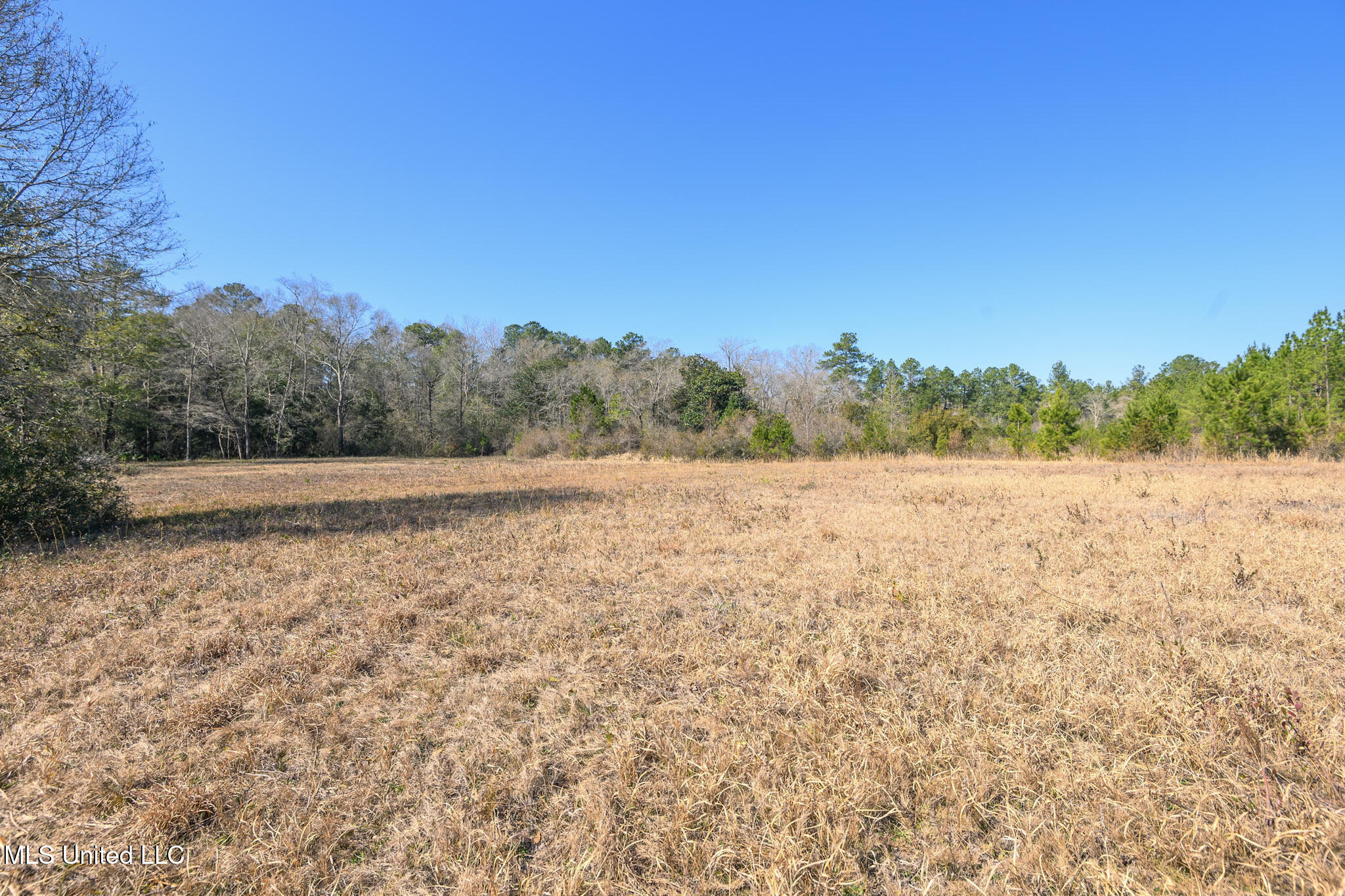 5295 Agricola Latonia Road Property Photo 13