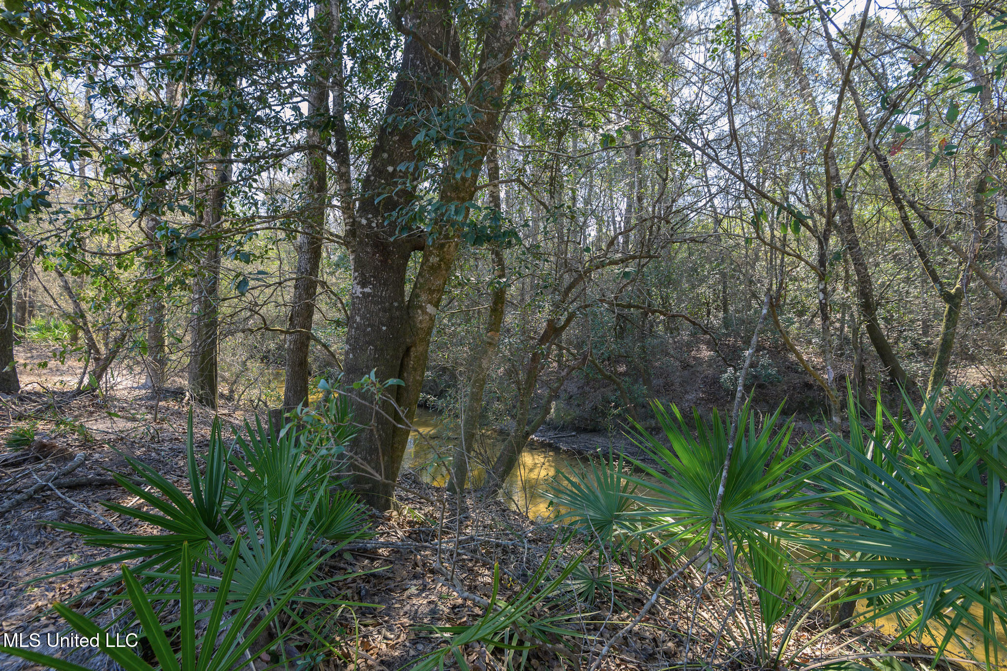 5295 Agricola Latonia Road Property Photo 16