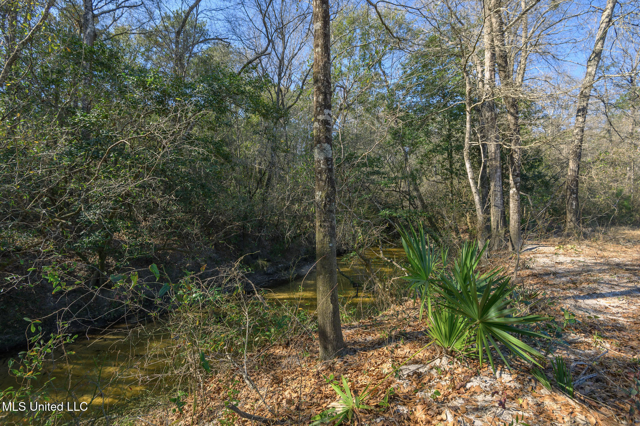 5295 Agricola Latonia Road Property Photo 17