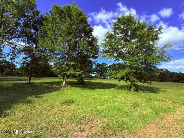 Joby Magee Road Property Photo 7