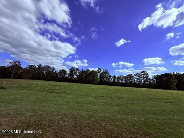 Joby Magee Road Property Photo 14