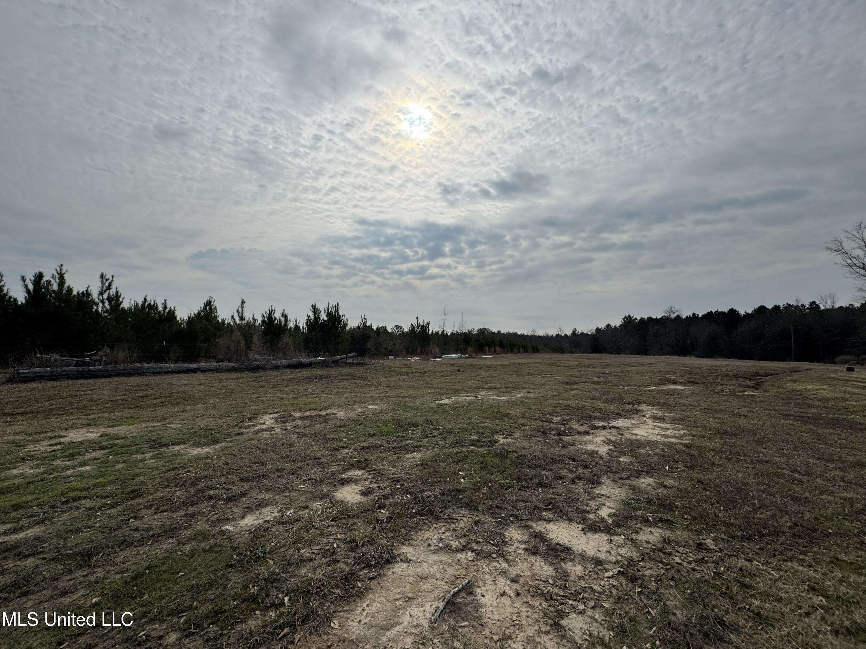 1134 Seminary Sumrall Road Property Photo 61