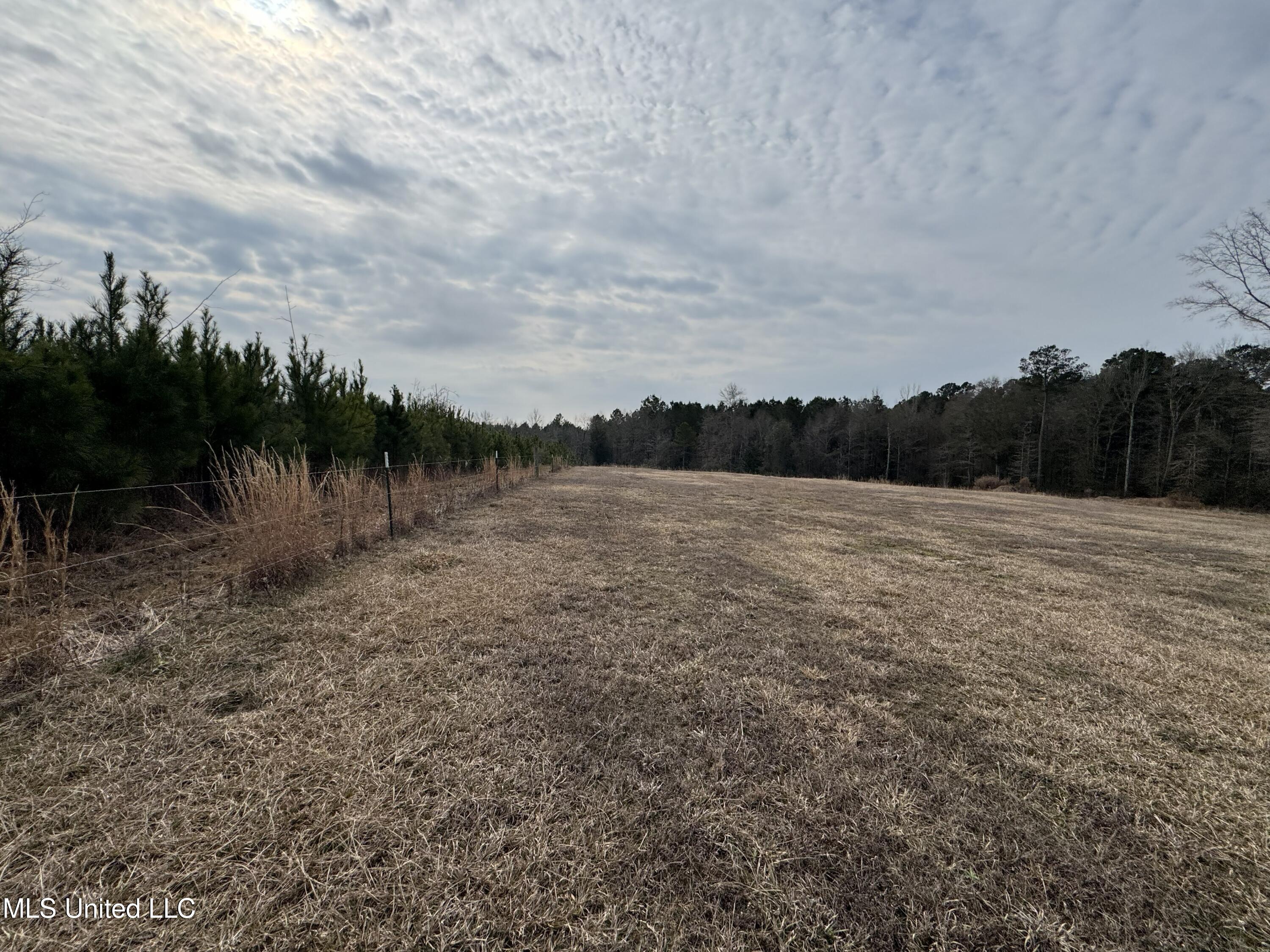 1134 Seminary Sumrall Road Property Photo 63