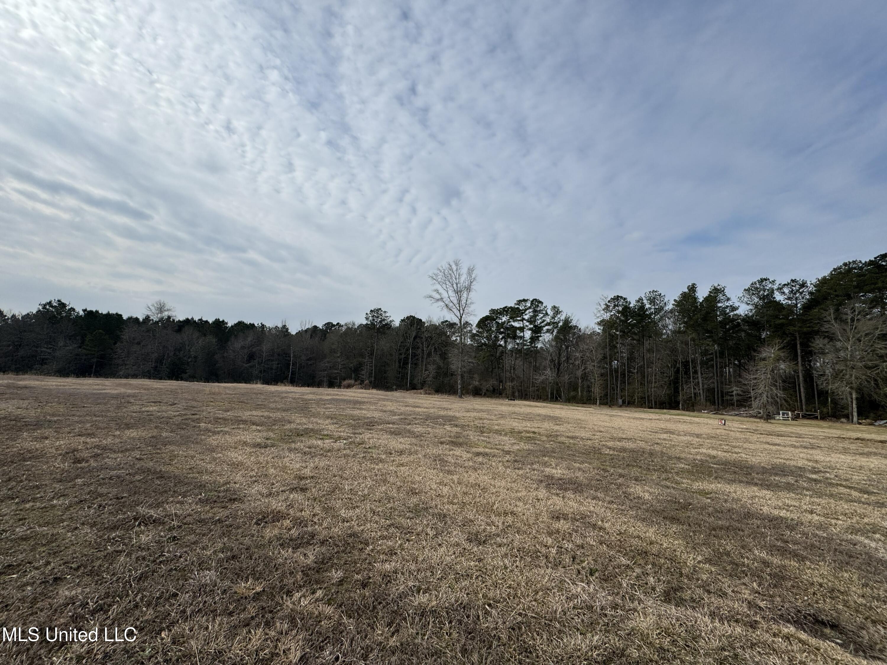 1134 Seminary Sumrall Road Property Photo 64