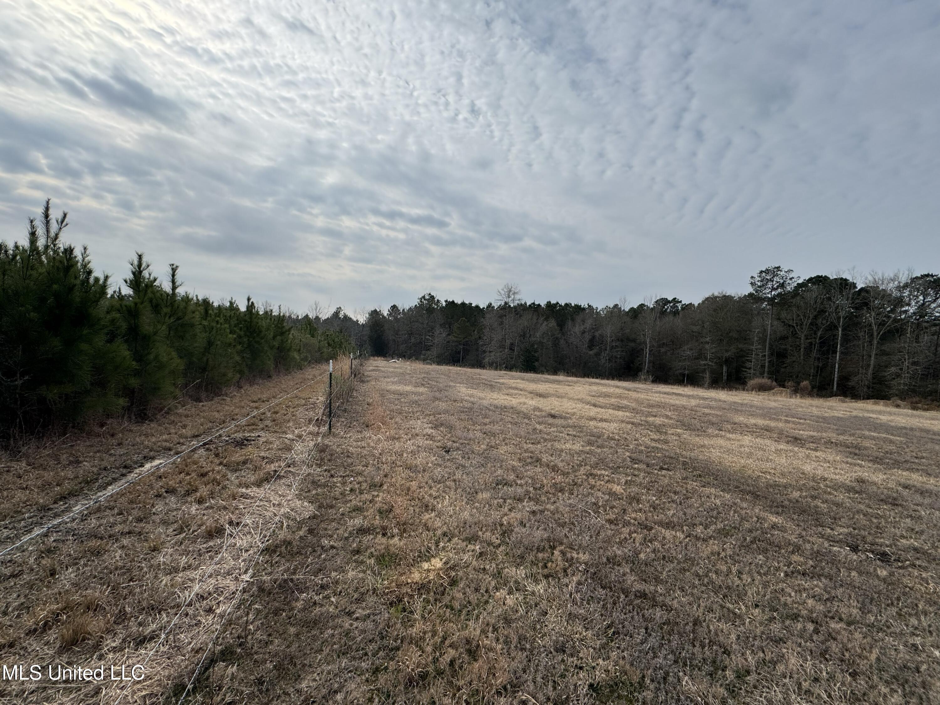 1134 Seminary Sumrall Road Property Photo 65