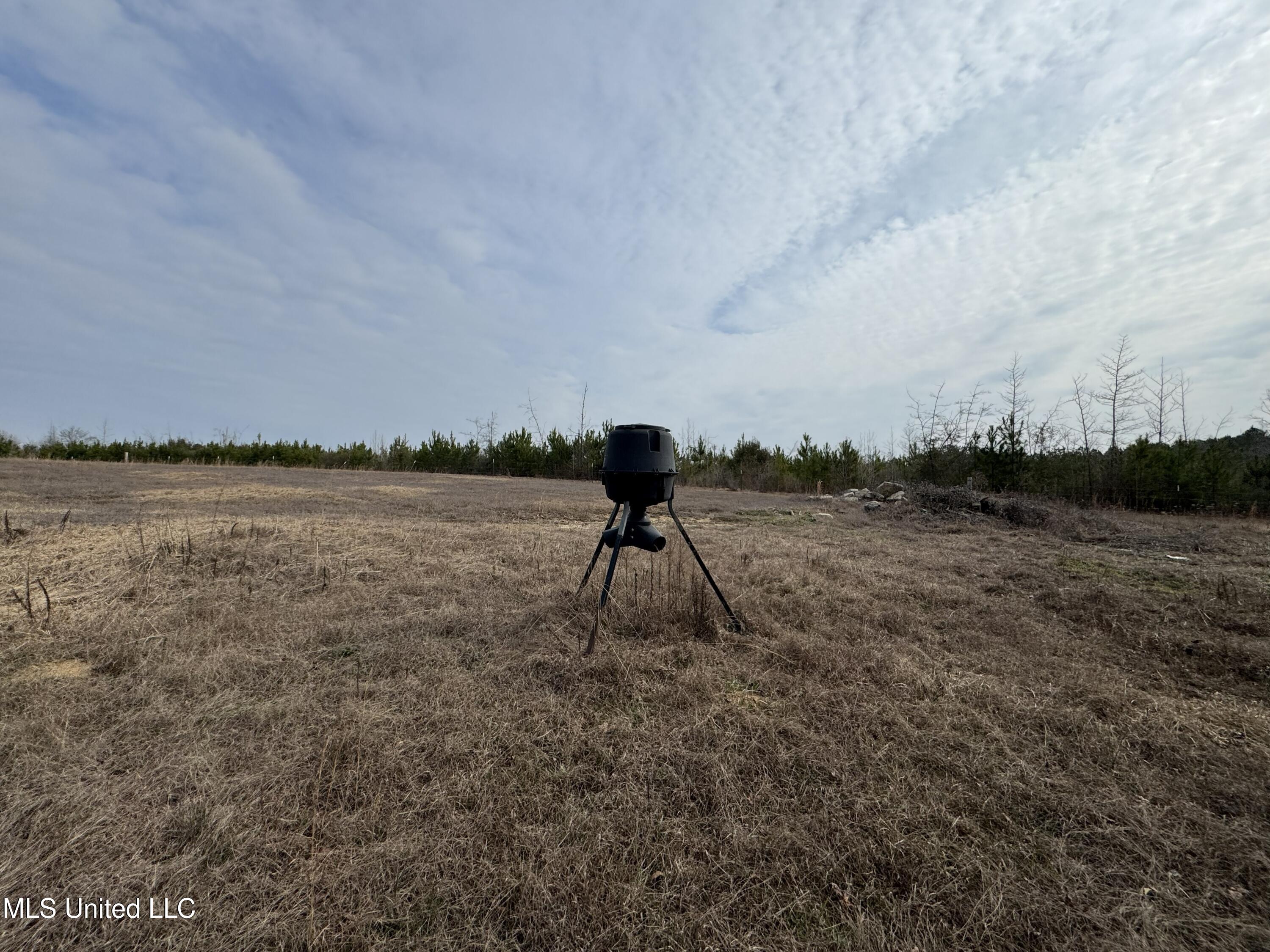 1134 Seminary Sumrall Road Property Photo 67