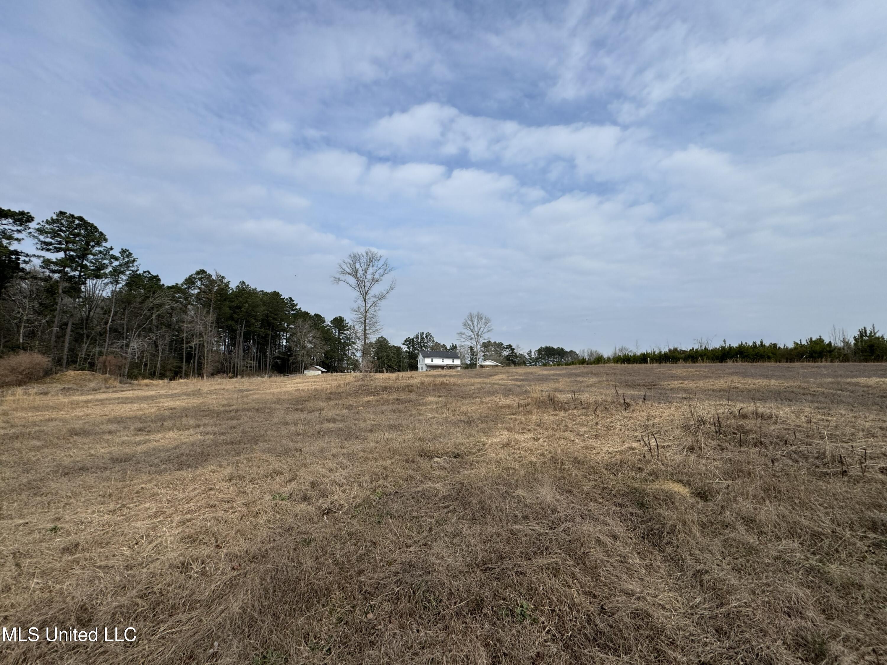 1134 Seminary Sumrall Road Property Photo 68