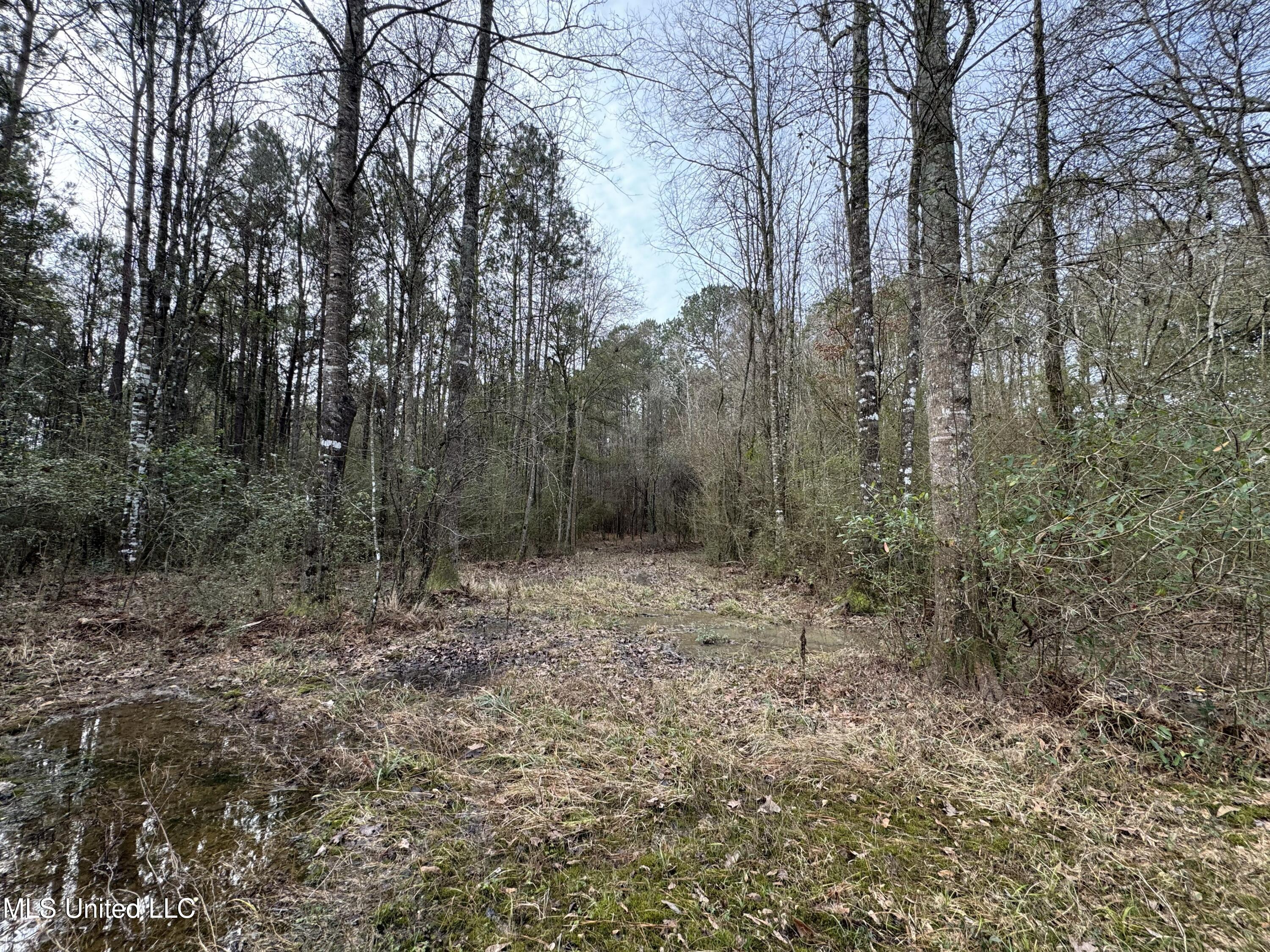 1134 Seminary Sumrall Road Property Photo 70