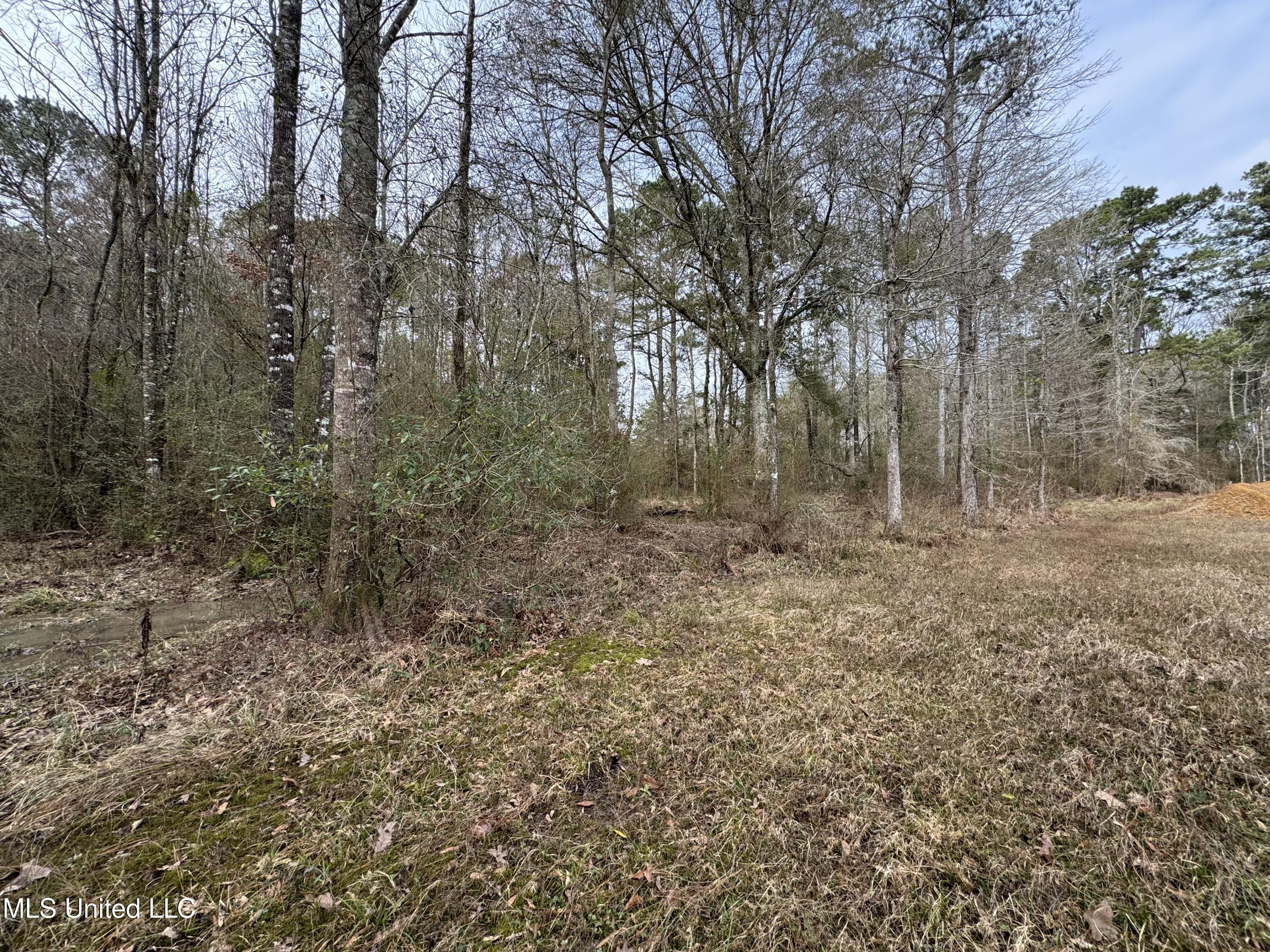1134 Seminary Sumrall Road Property Photo 71