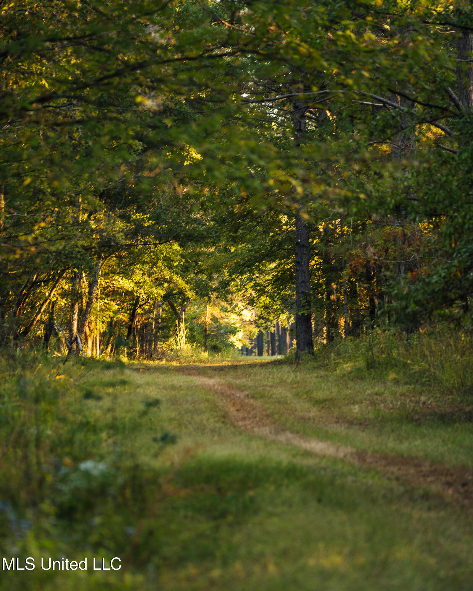 Mississippi 4 Property Photo 2
