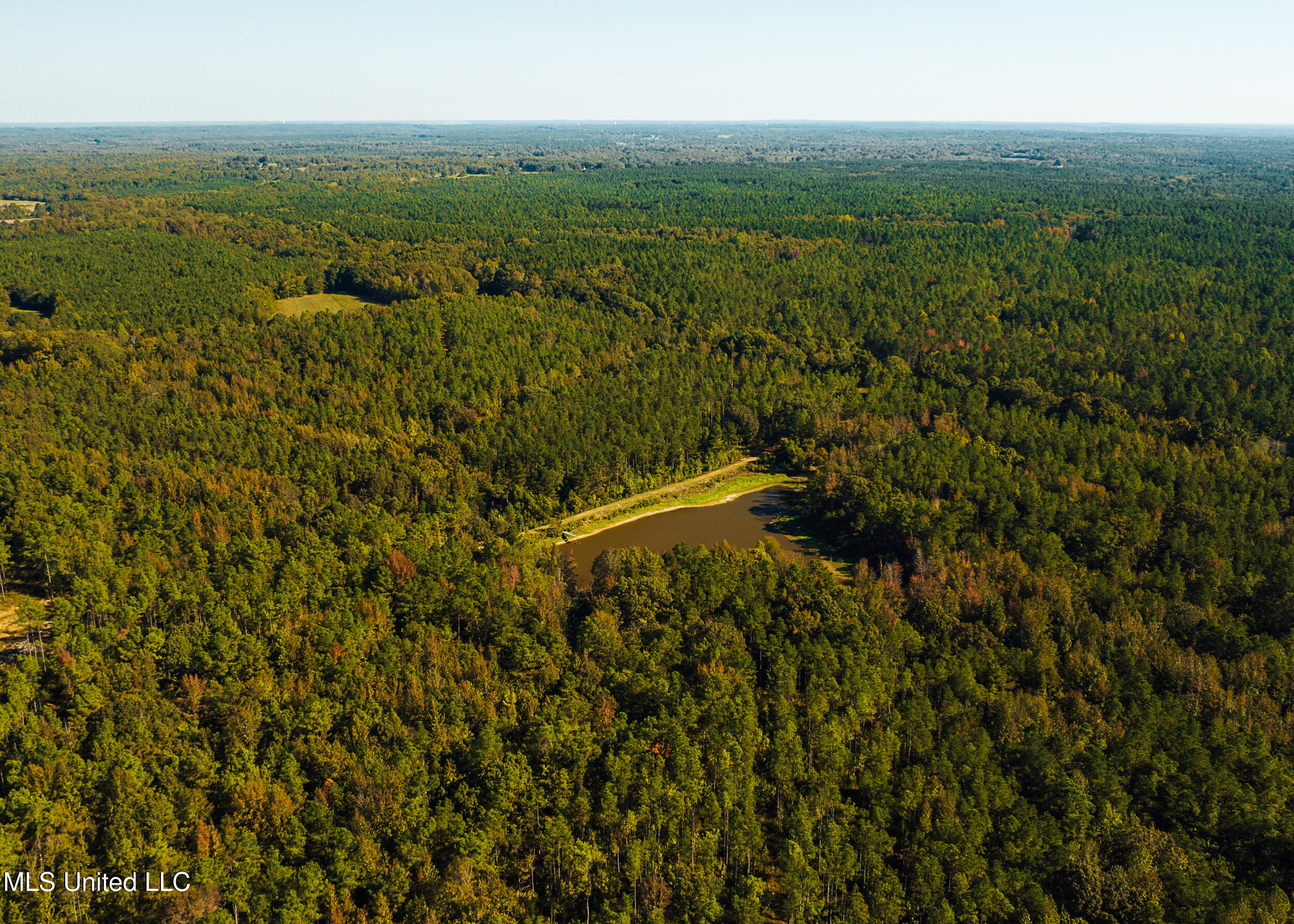 Mississippi 4 Property Photo 6
