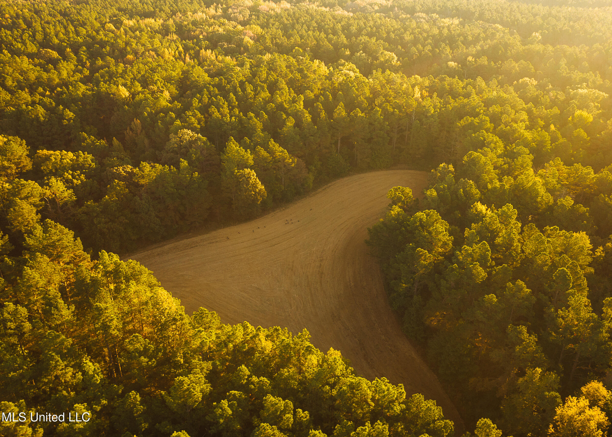 Mississippi 4 Property Photo 8