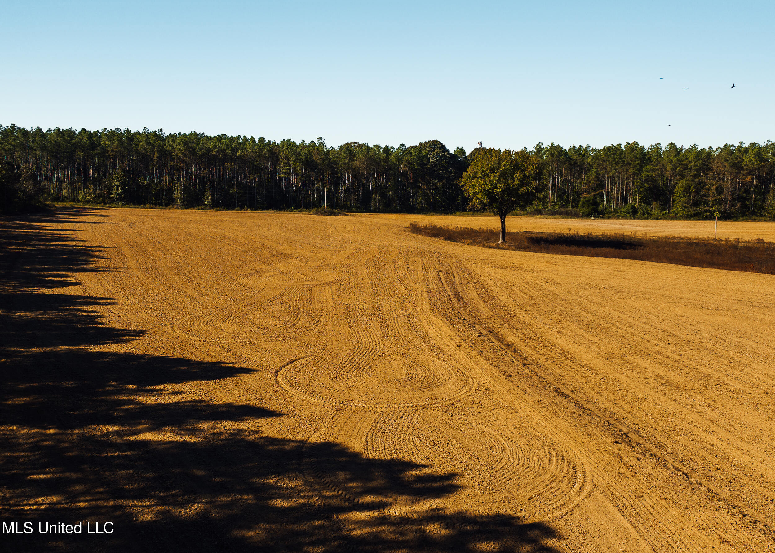 Mississippi 4 Property Photo 9