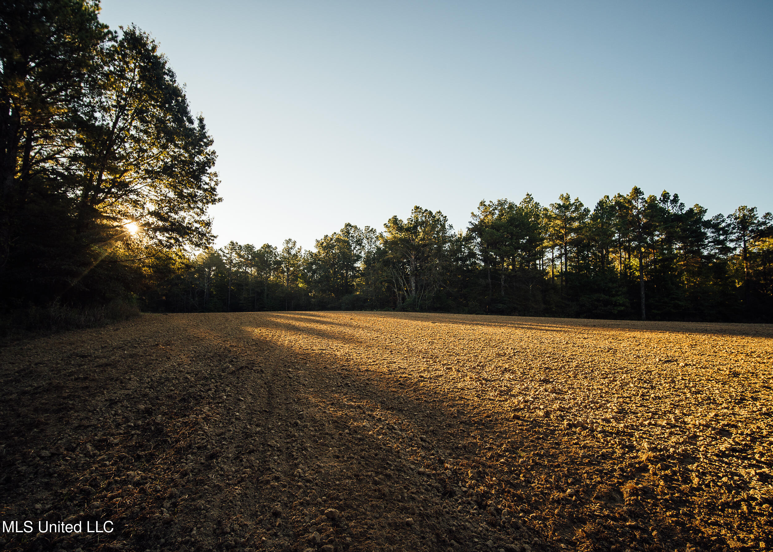 Mississippi 4 Property Photo 11