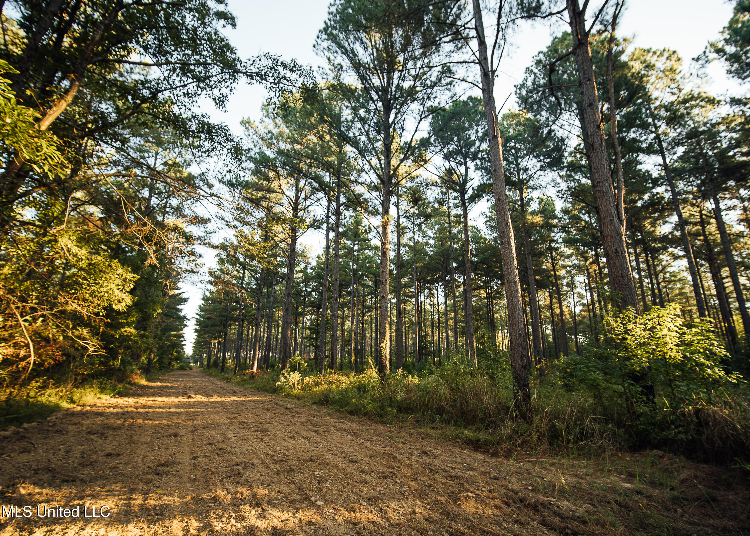 Mississippi 4 Property Photo 12