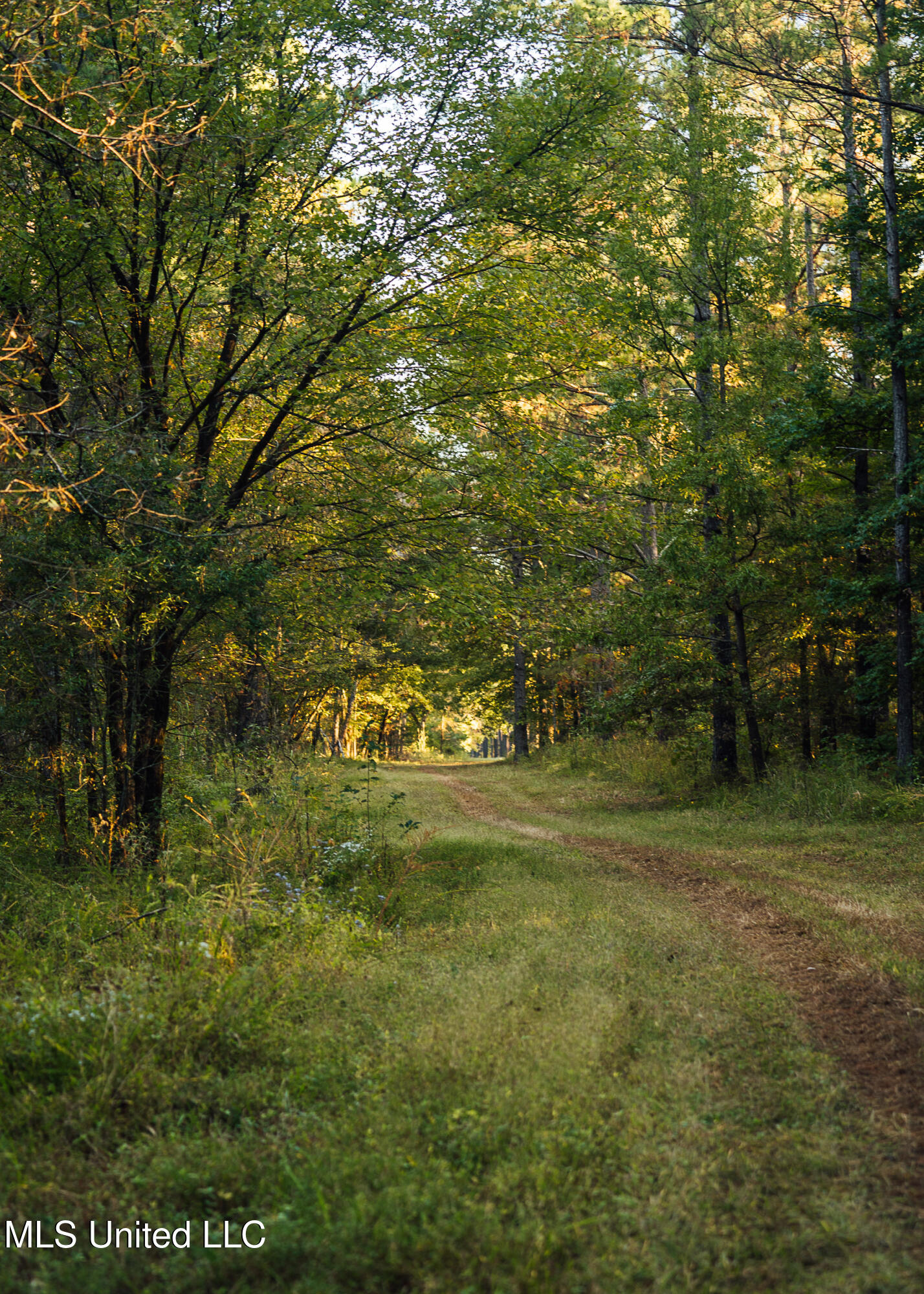 Mississippi 4 Property Photo 16