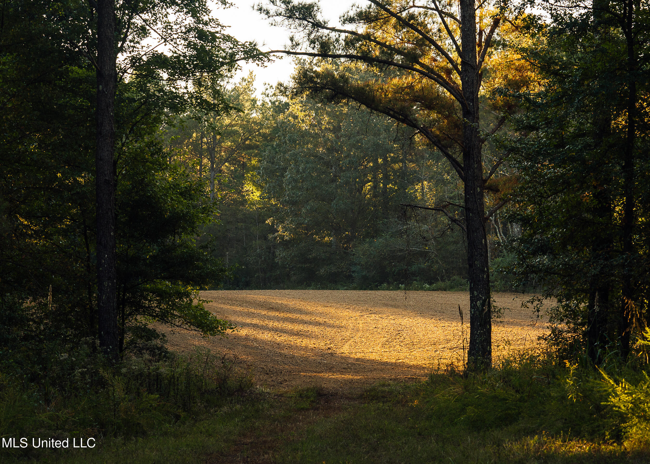 Mississippi 4 Property Photo 17