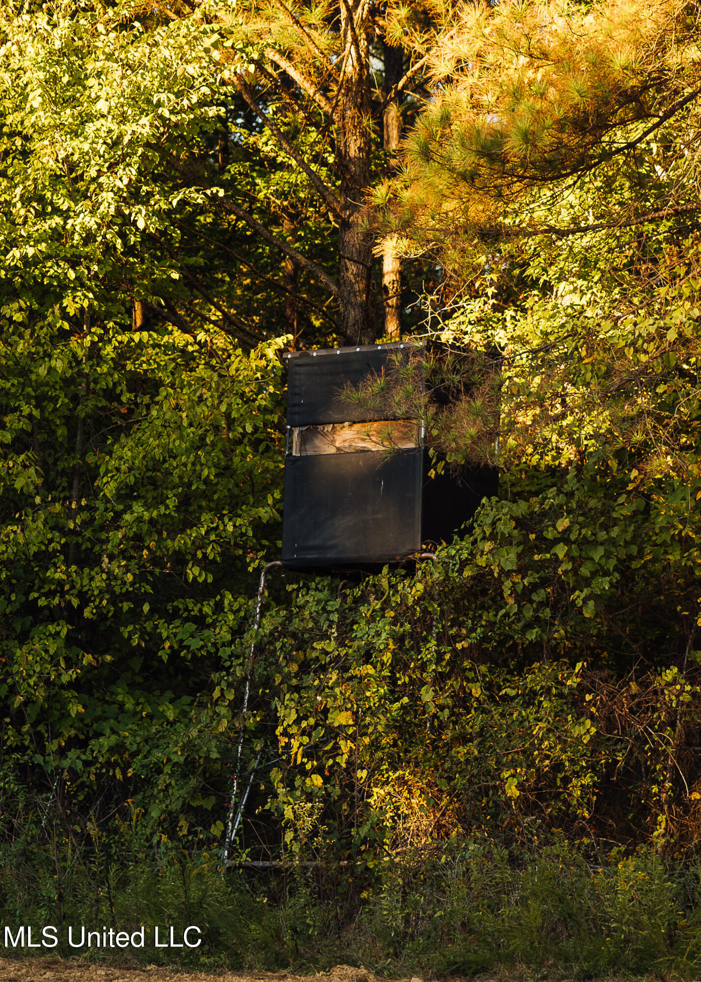 Mississippi 4 Property Photo 18