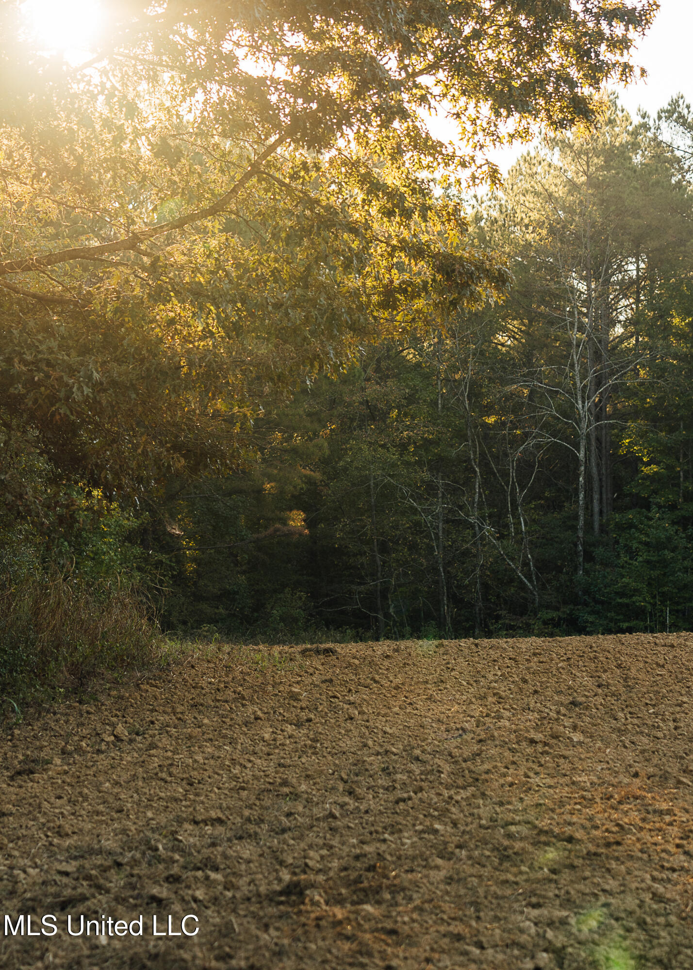 Mississippi 4 Property Photo 19