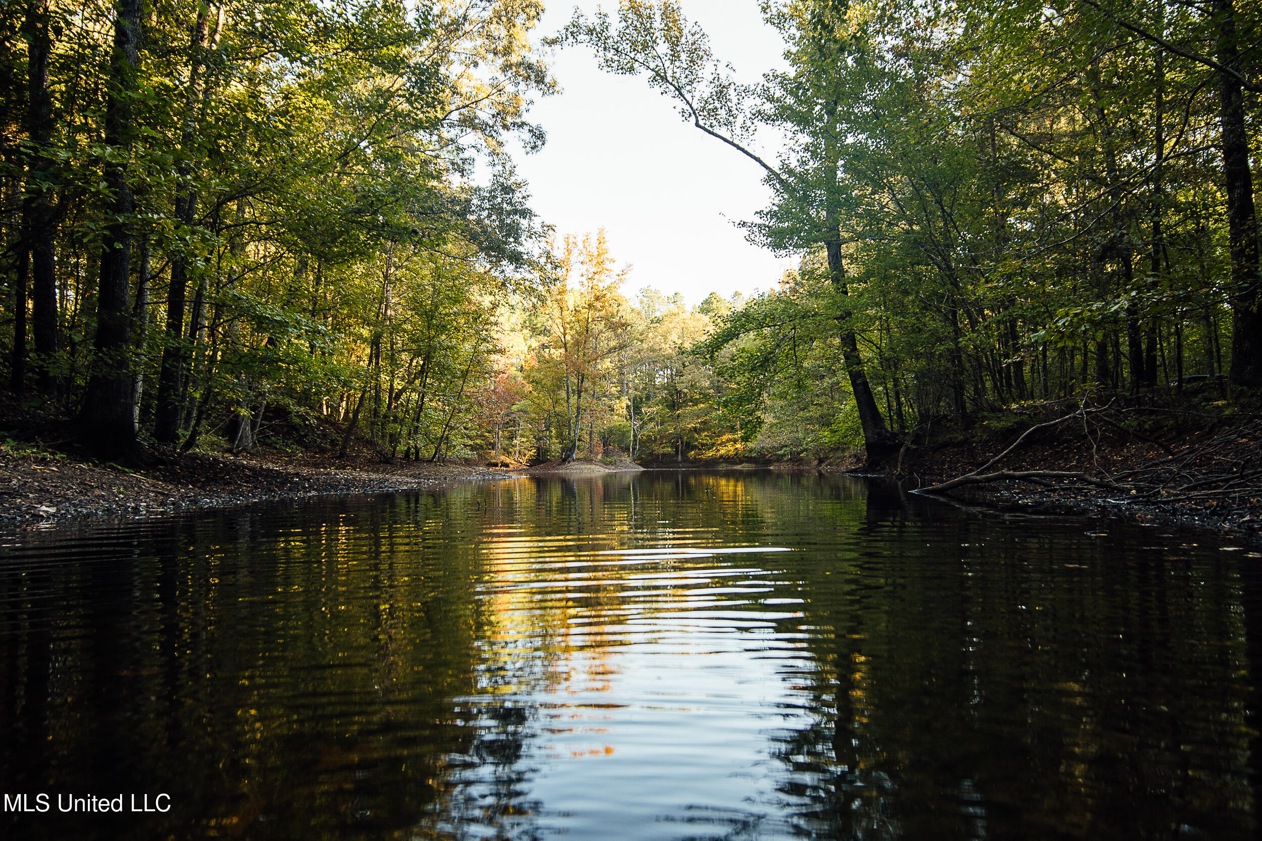 Mississippi 4 Property Photo 20