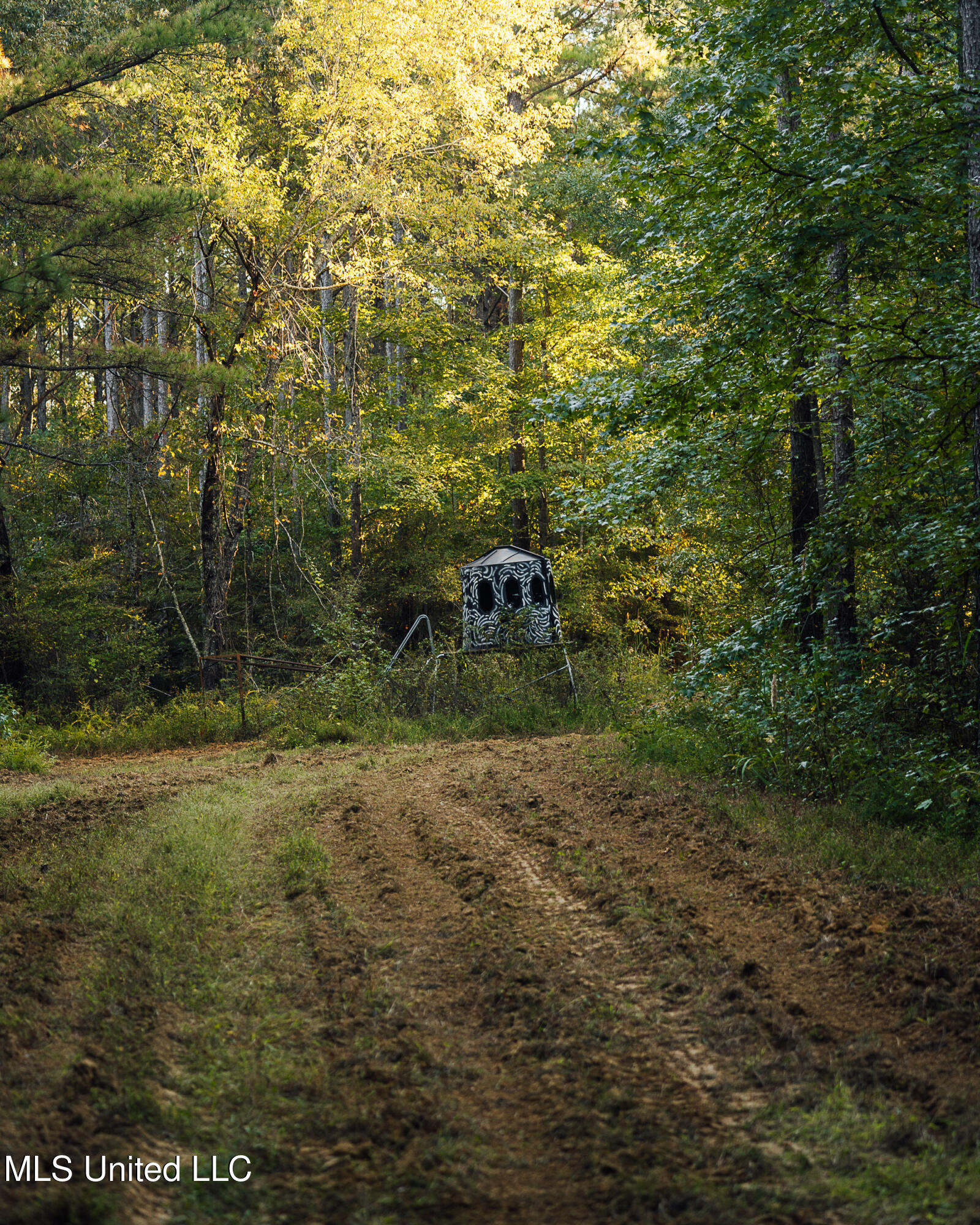 Mississippi 4 Property Photo 22