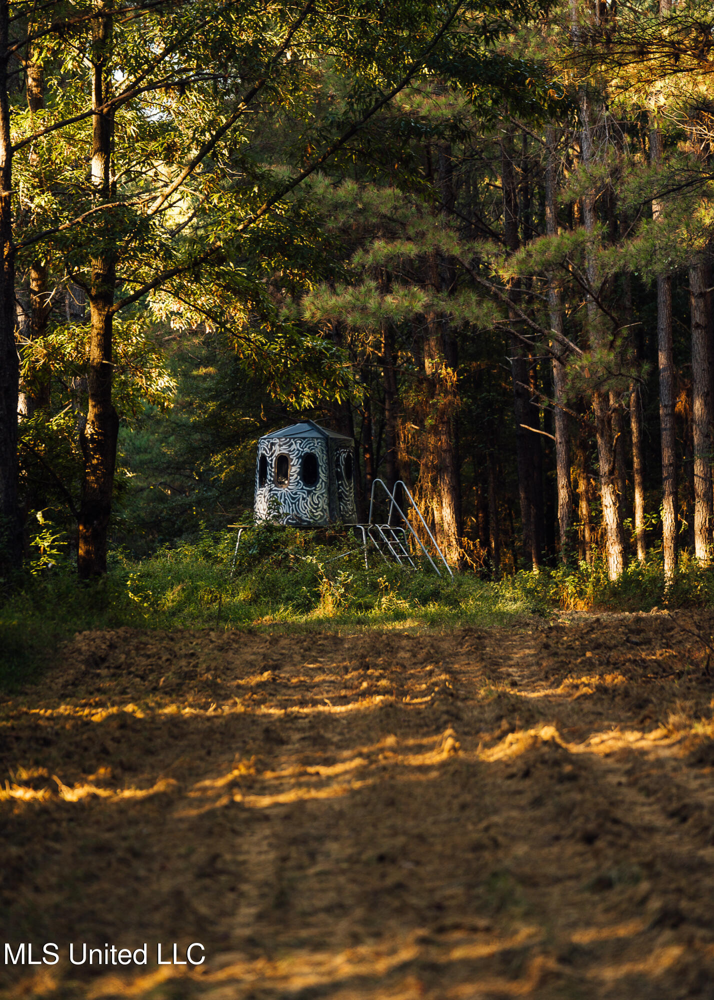 Mississippi 4 Property Photo 24