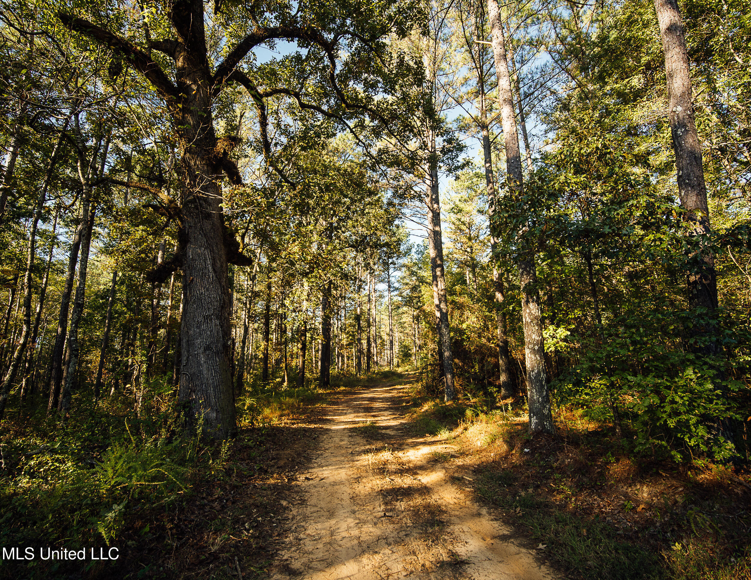 Mississippi 4 Property Photo 25