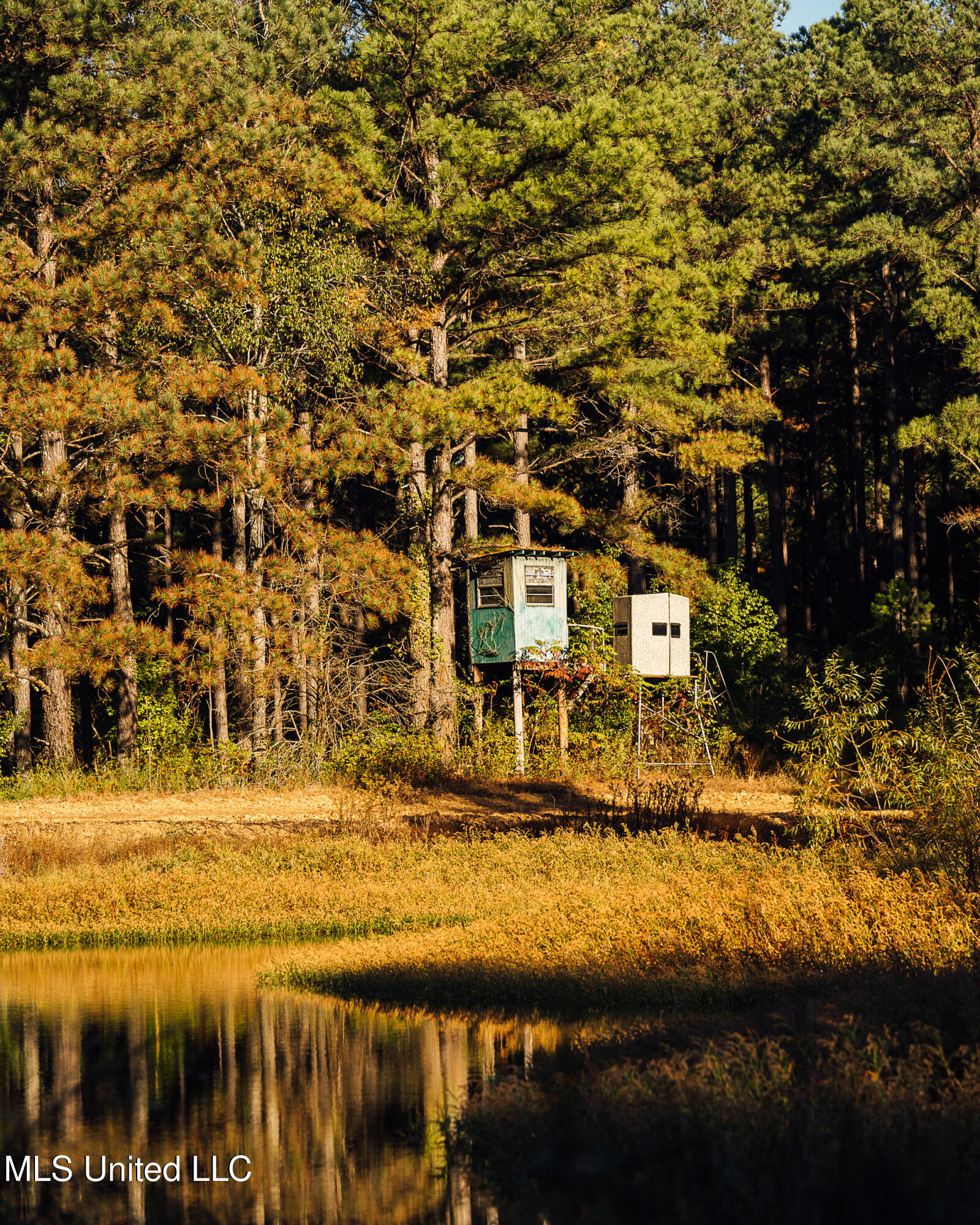 Mississippi 4 Property Photo 26