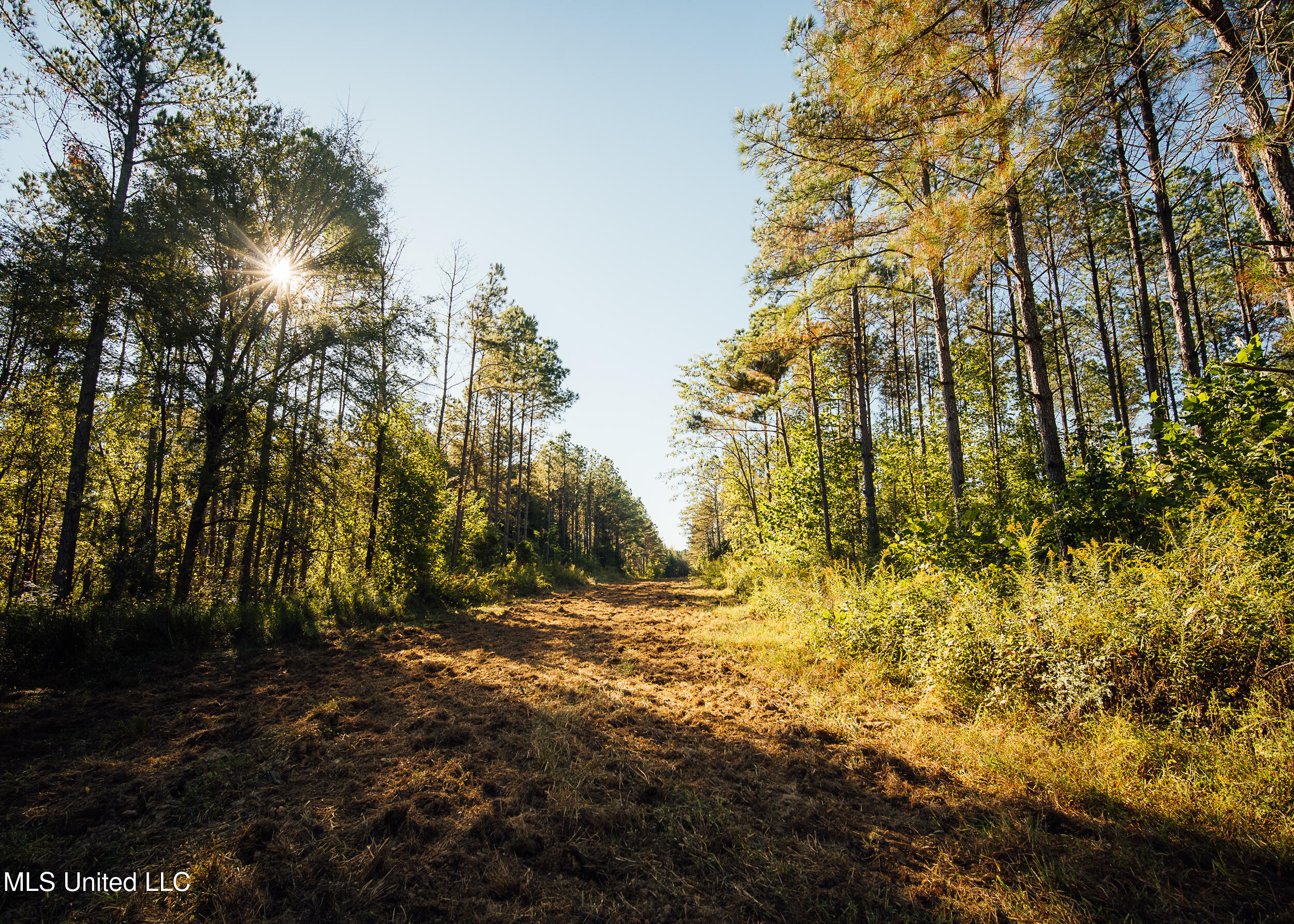 Mississippi 4 Property Photo 27