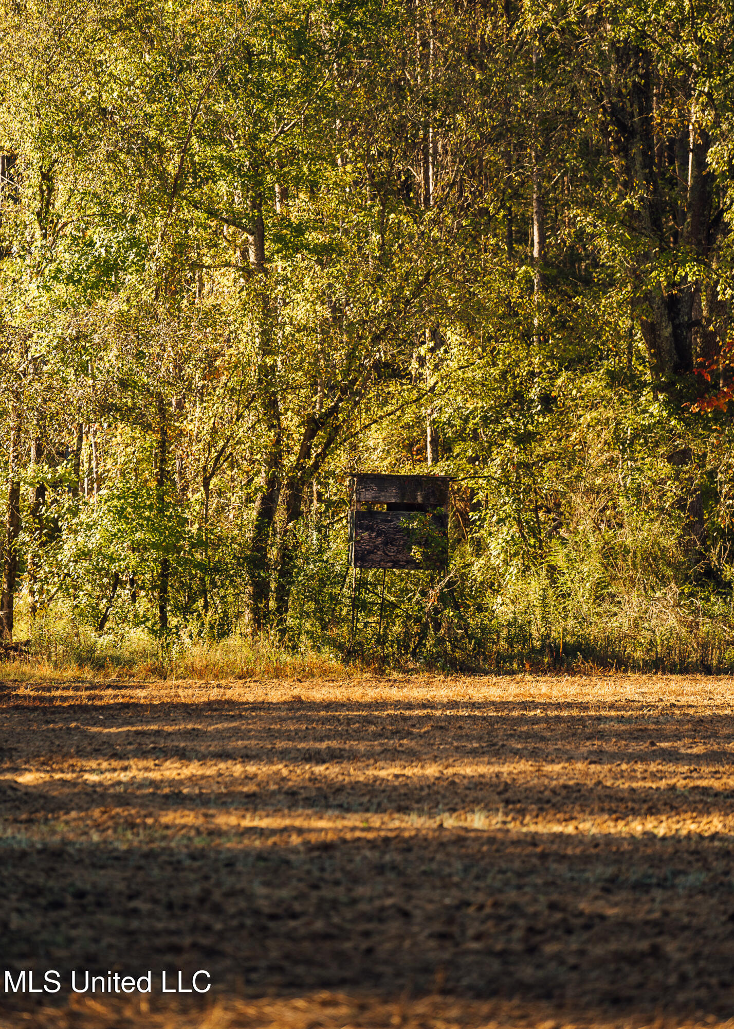 Mississippi 4 Property Photo 30