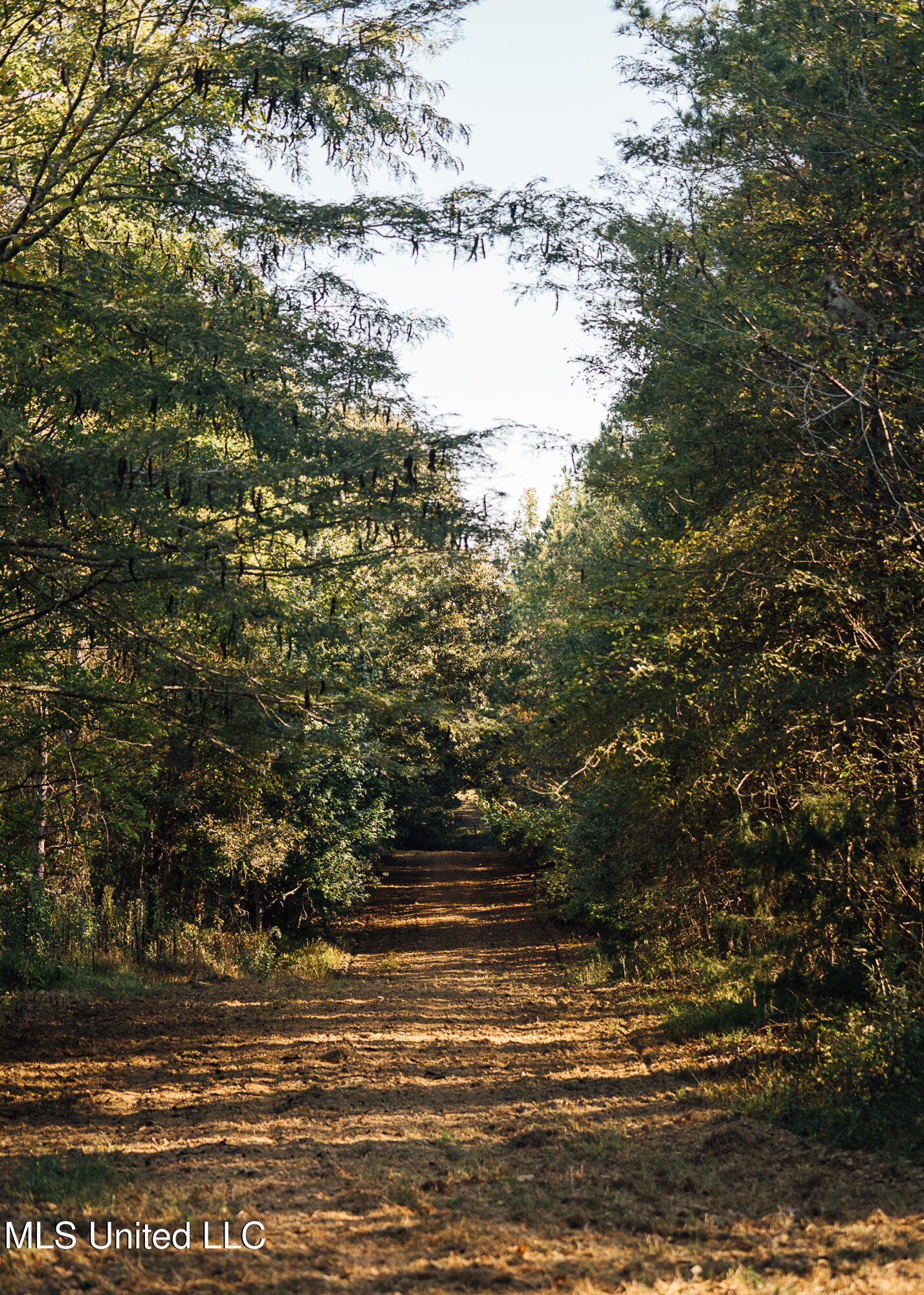 Mississippi 4 Property Photo 32