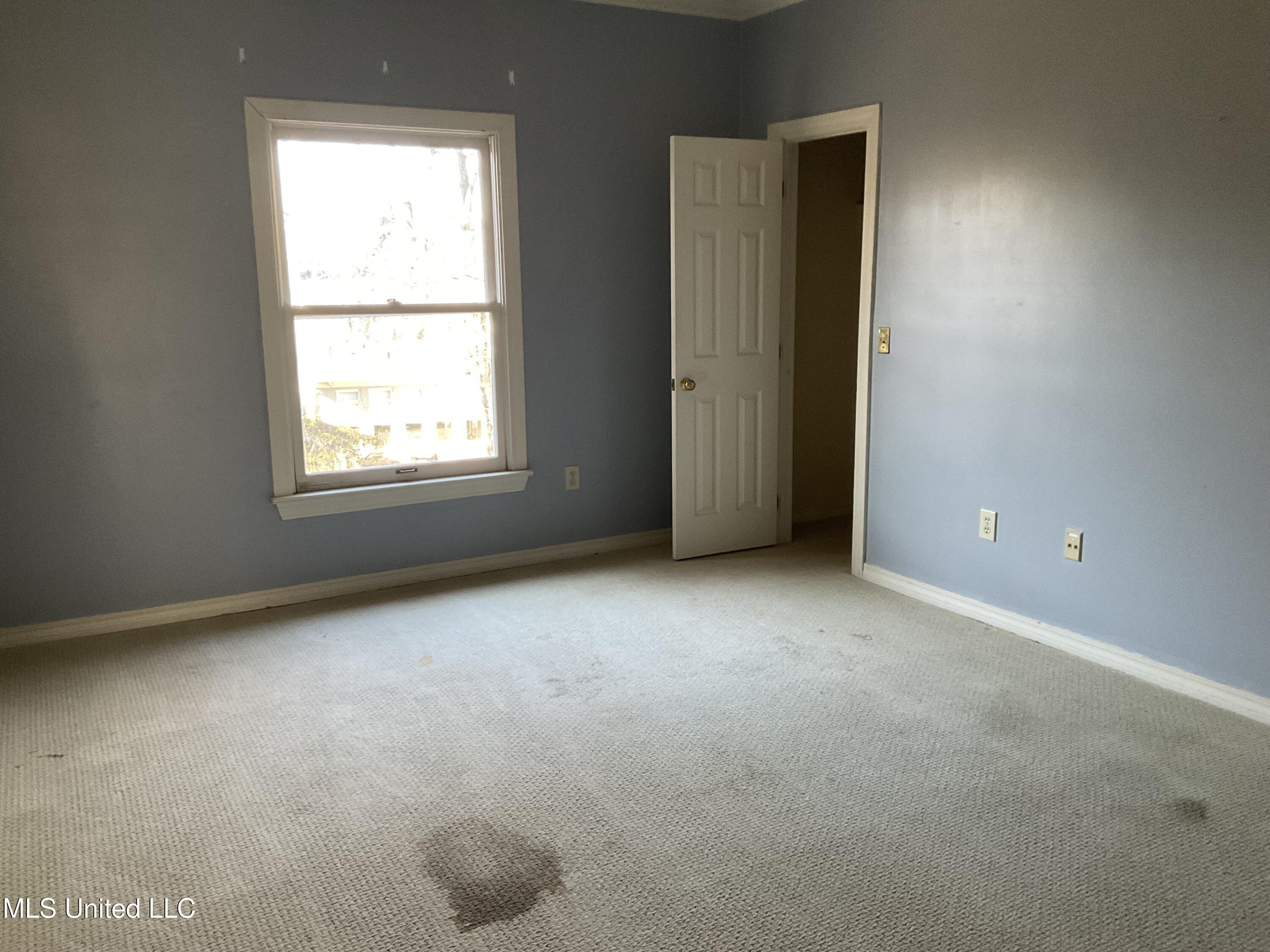 6 Moss Forest Place Property Photo 10