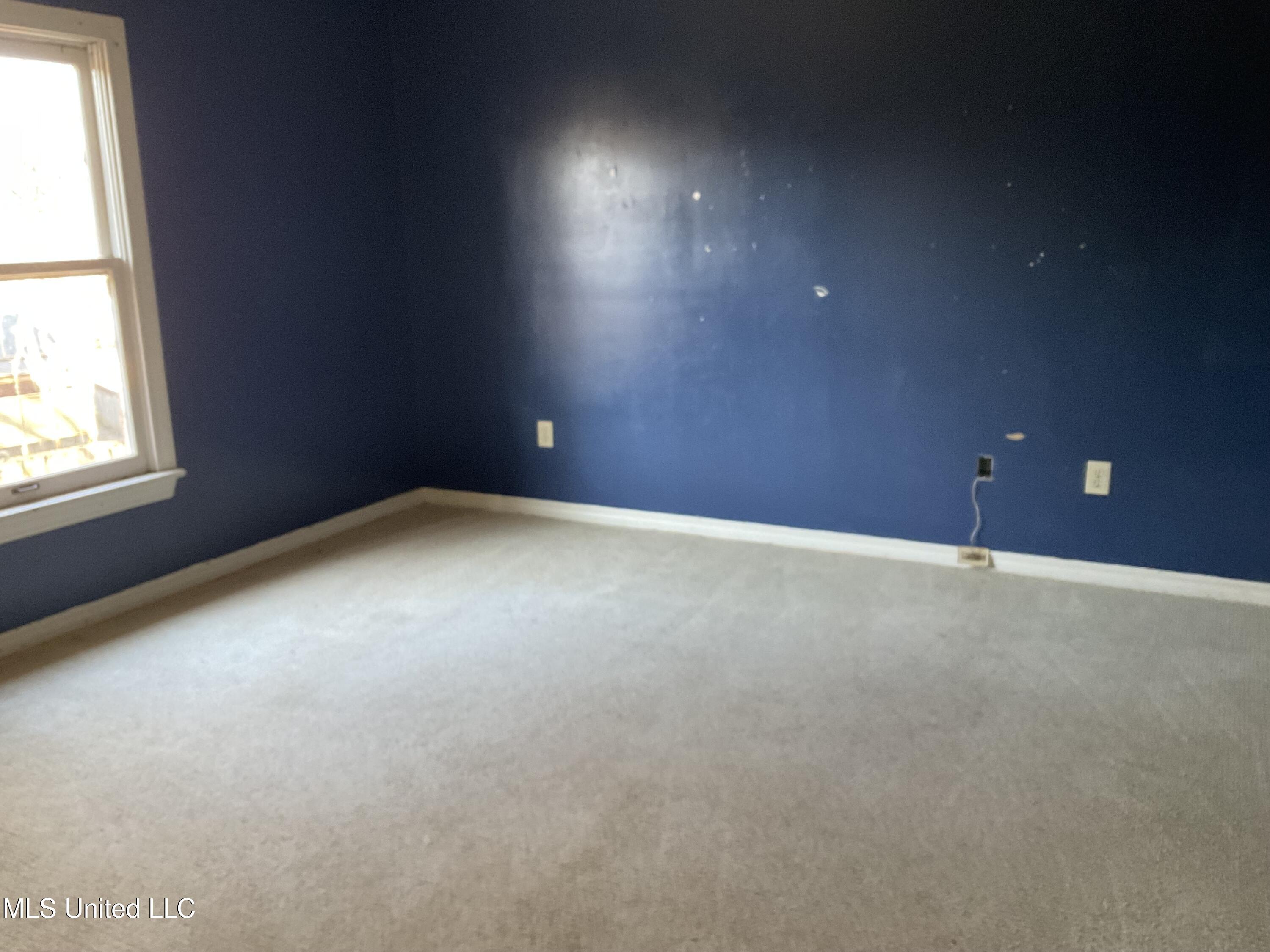 6 Moss Forest Place Property Photo 11